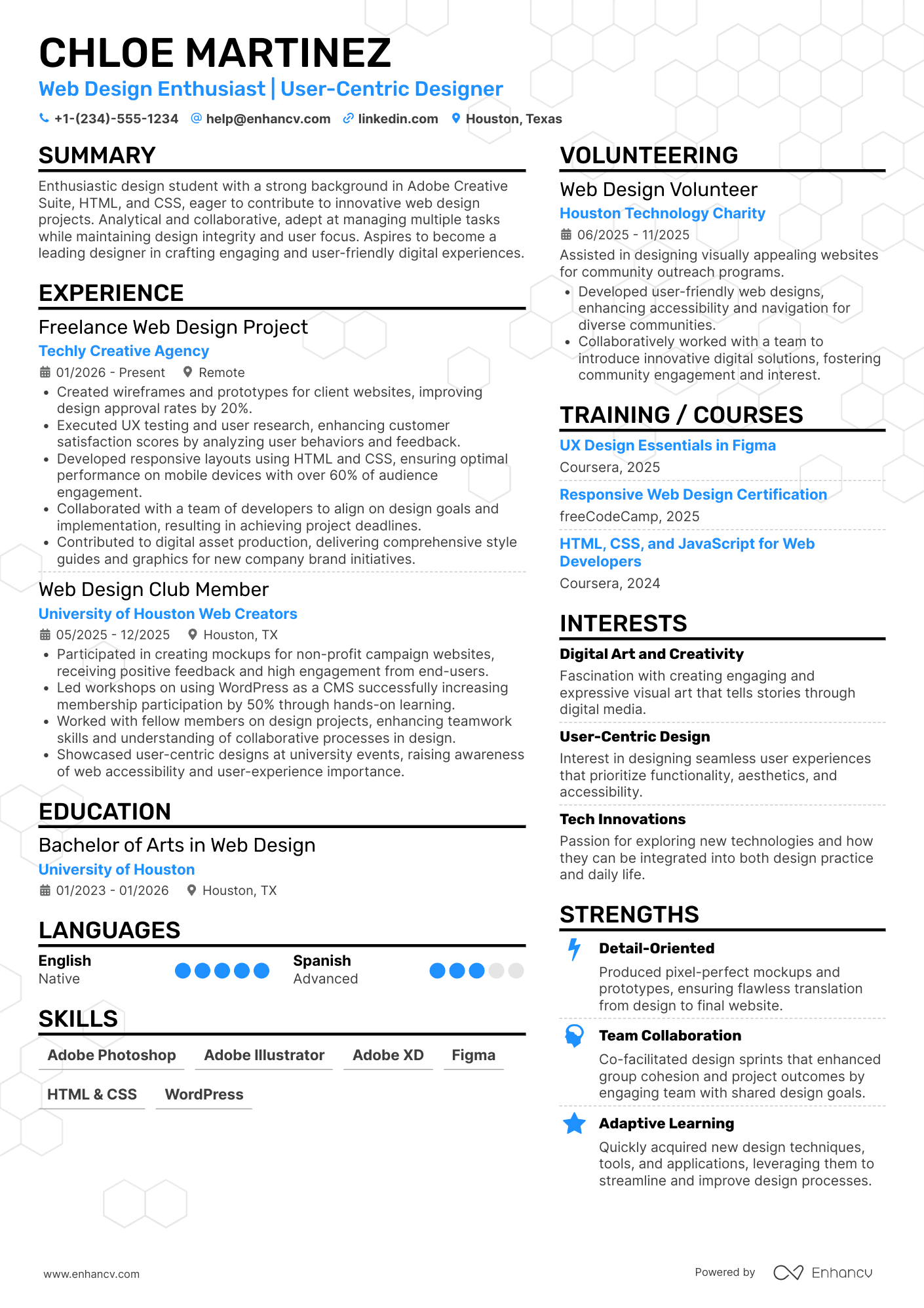 Web Design Intern Resume Example