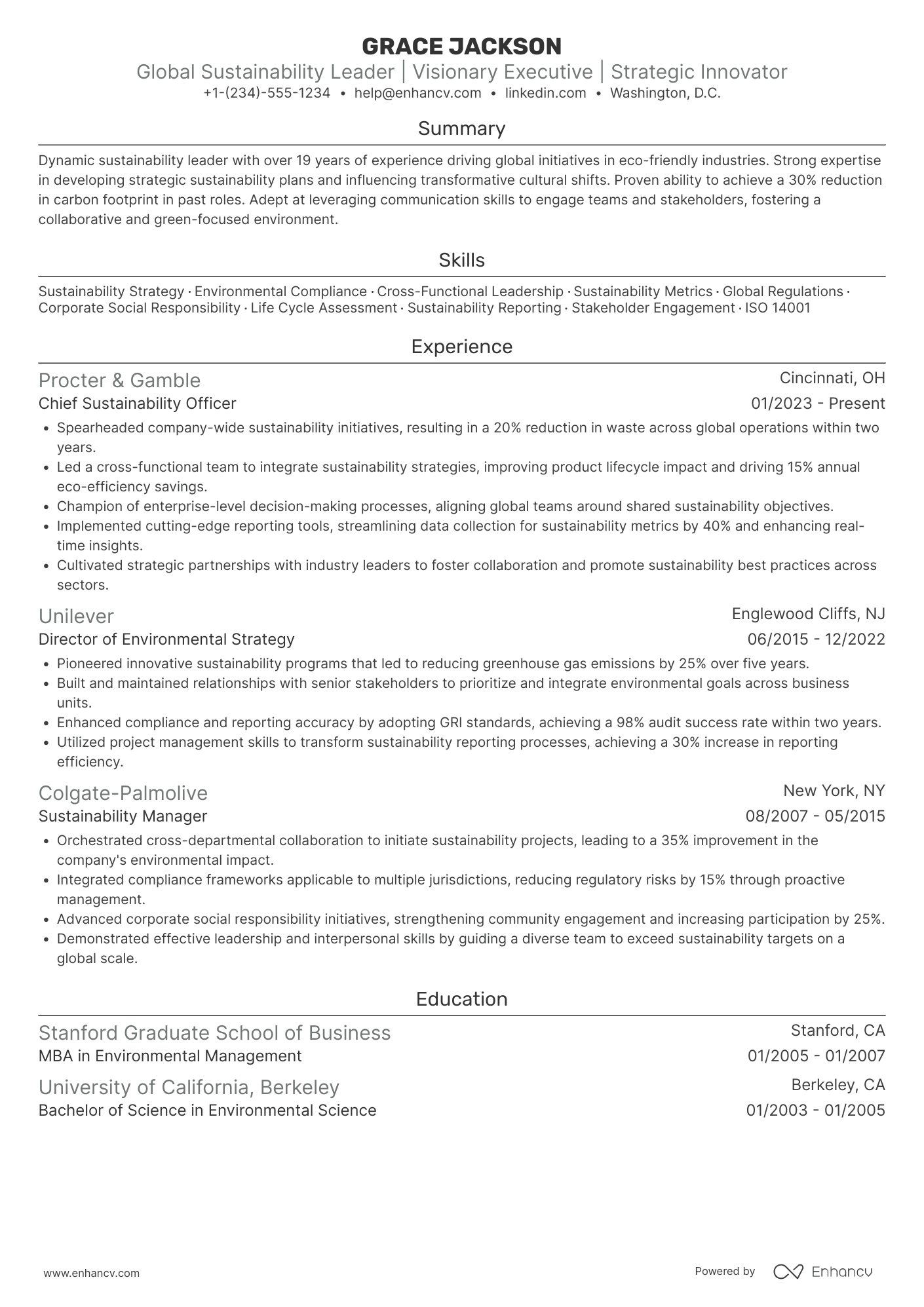 Global Chief Sustainability Officer Resume Example