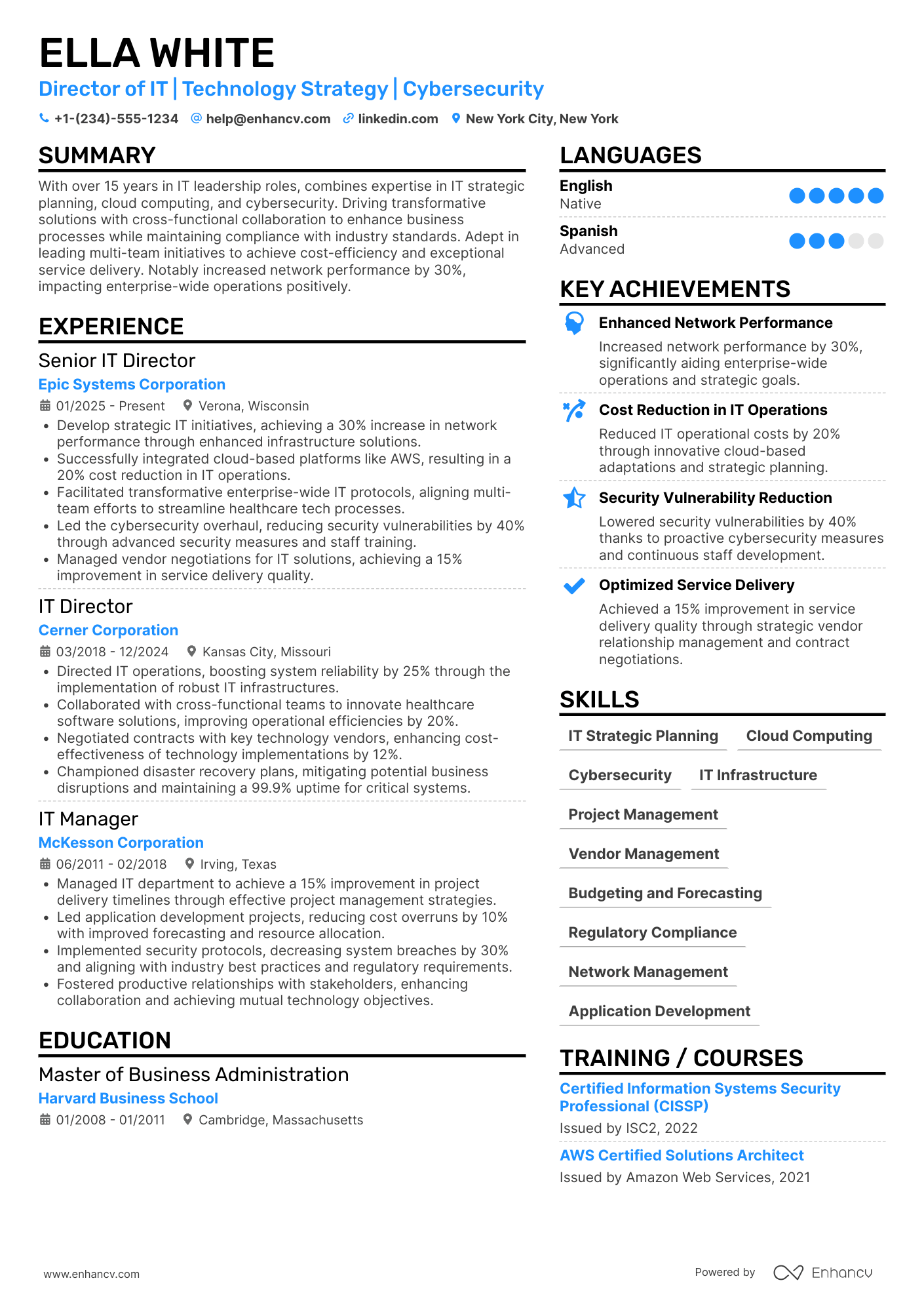 Director of Information Technology Resume Example