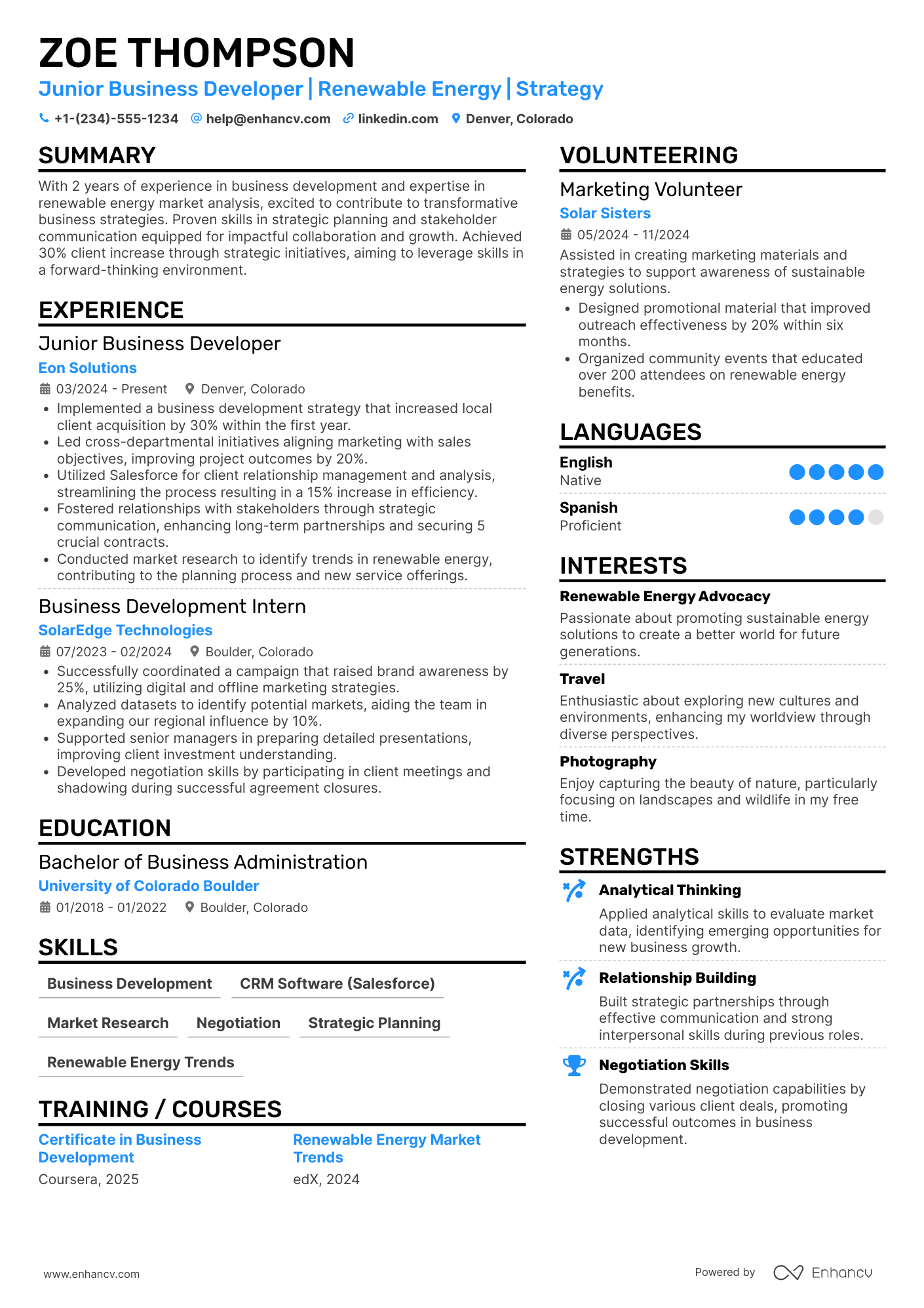 Junior VP Business Development Resume Example