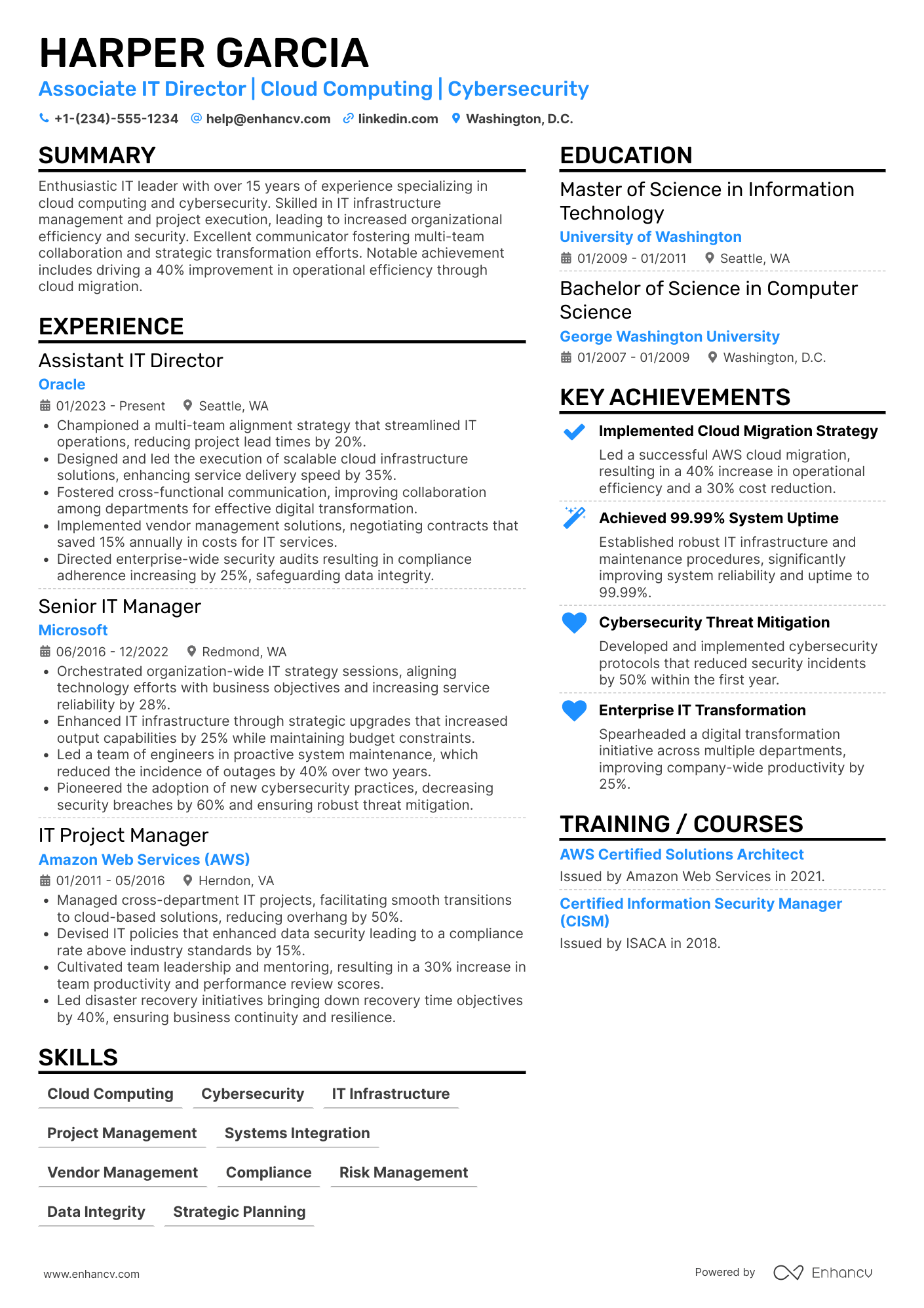 Associate IT Director Resume Example