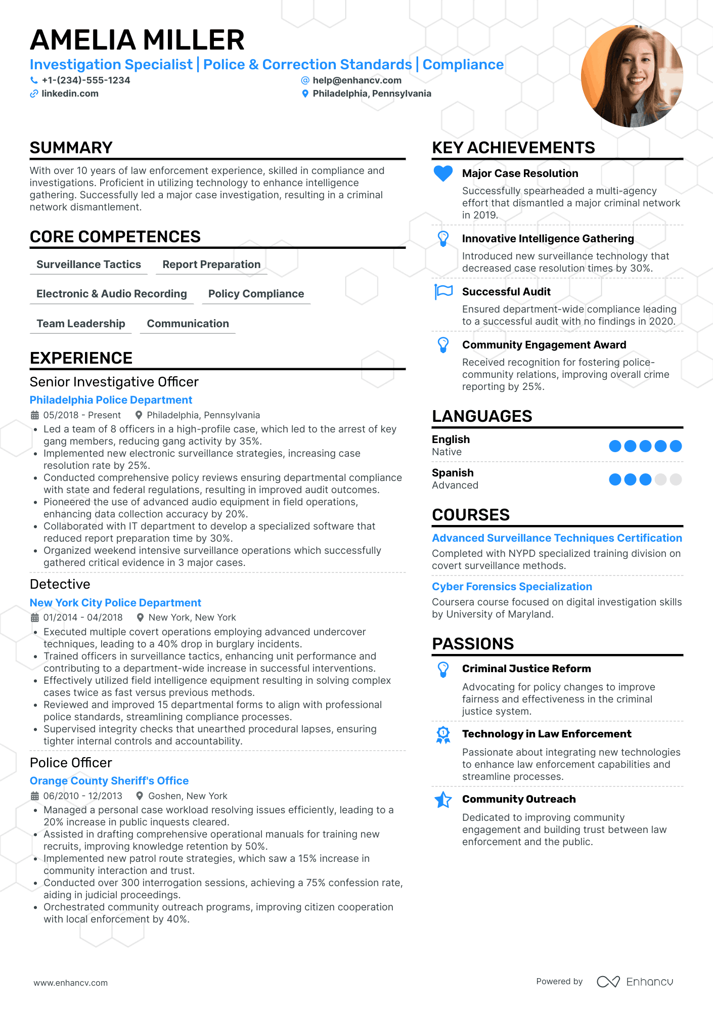 Chief Integrity Officer Resume Example