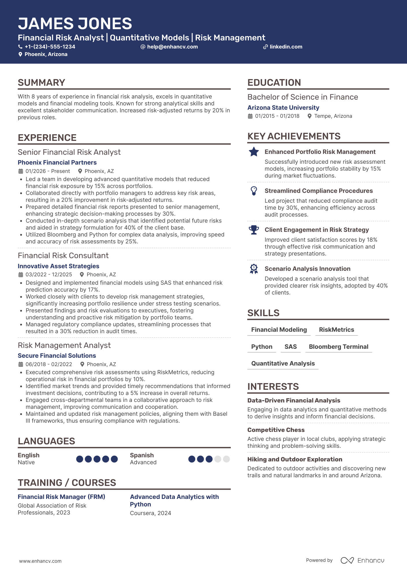 Financial Risk Analyst Resume Example
