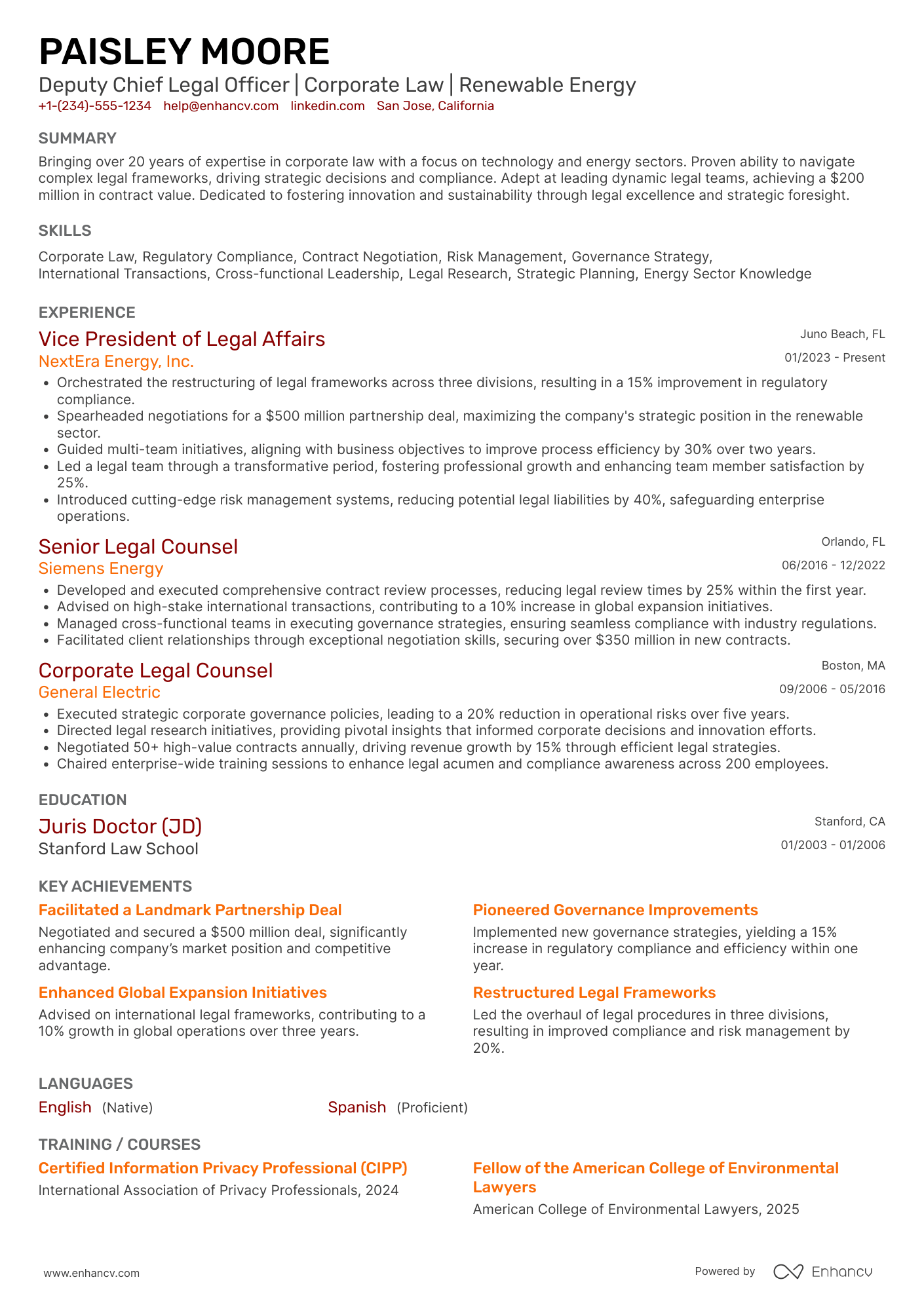 Deputy Chief Legal Officer Resume Example