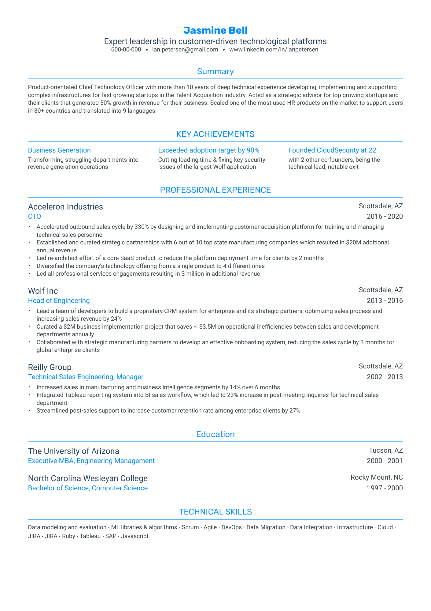 CTO Resume Example