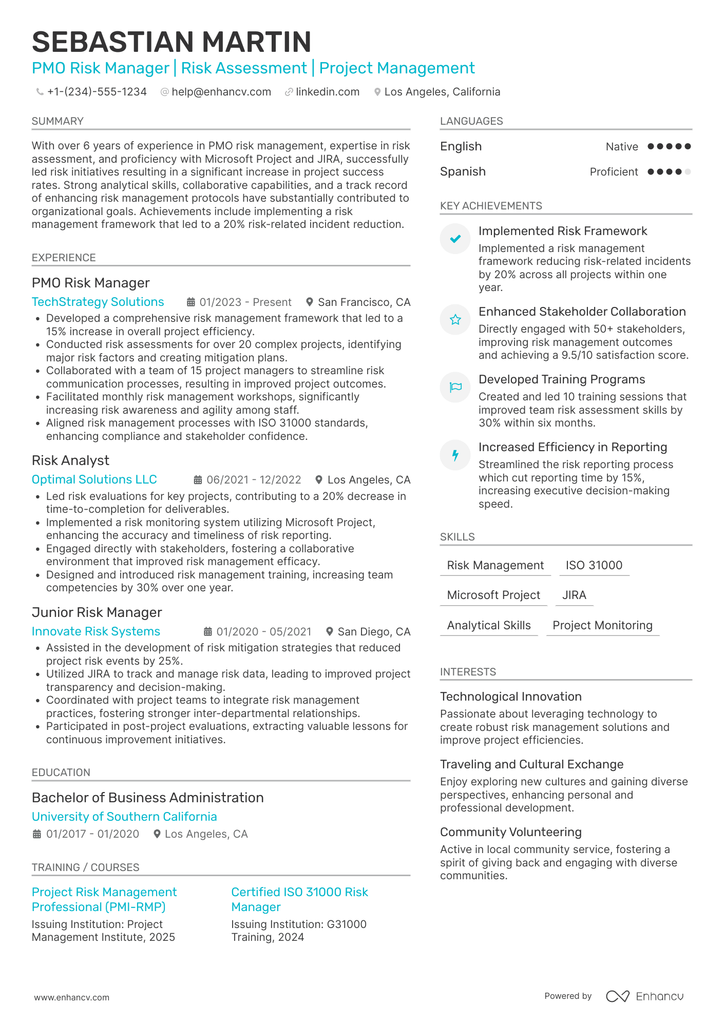 PMO Risk Manager Resume Example