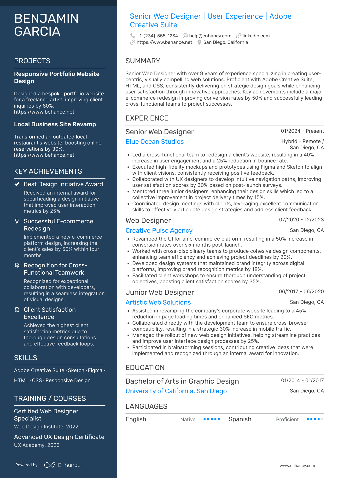 Senior Web Designer Resume Example