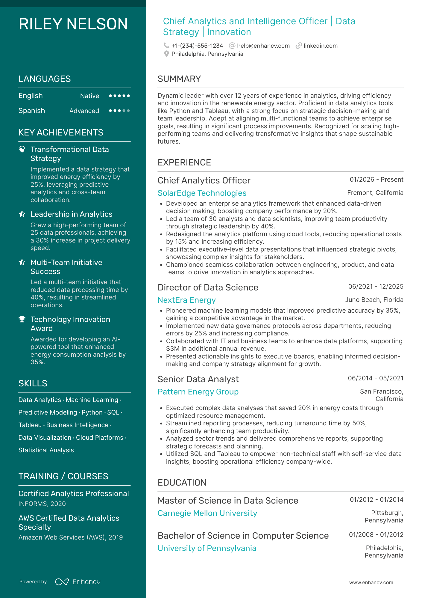 Chief Analytics and Intelligence Officer Resume Example
