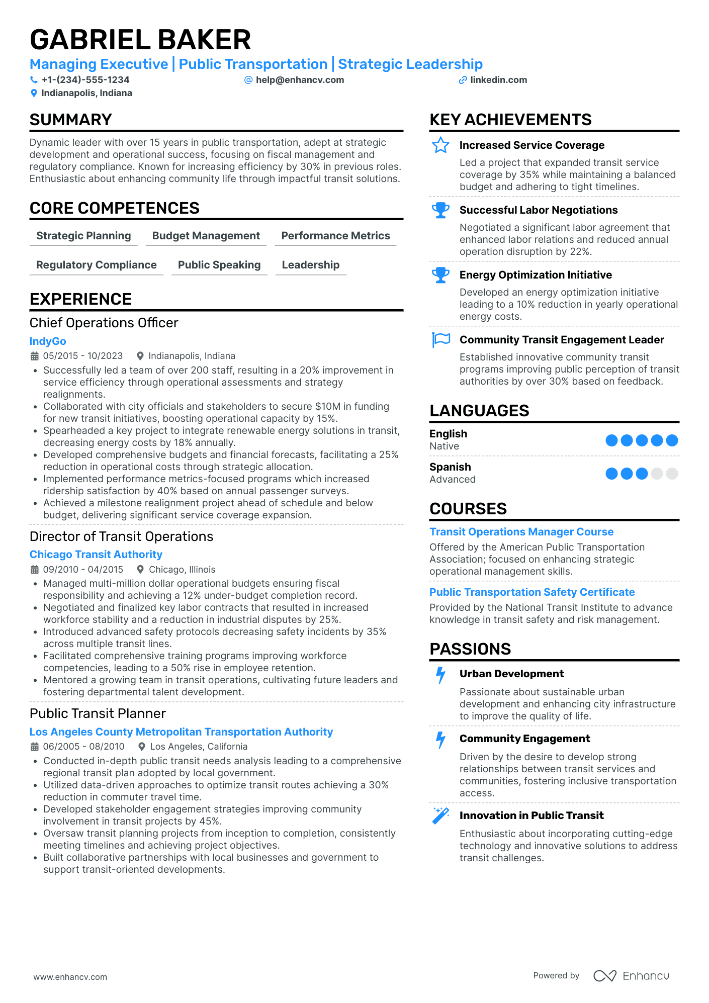 Chief Executive Officer in Transportation and Logistics Resume Example