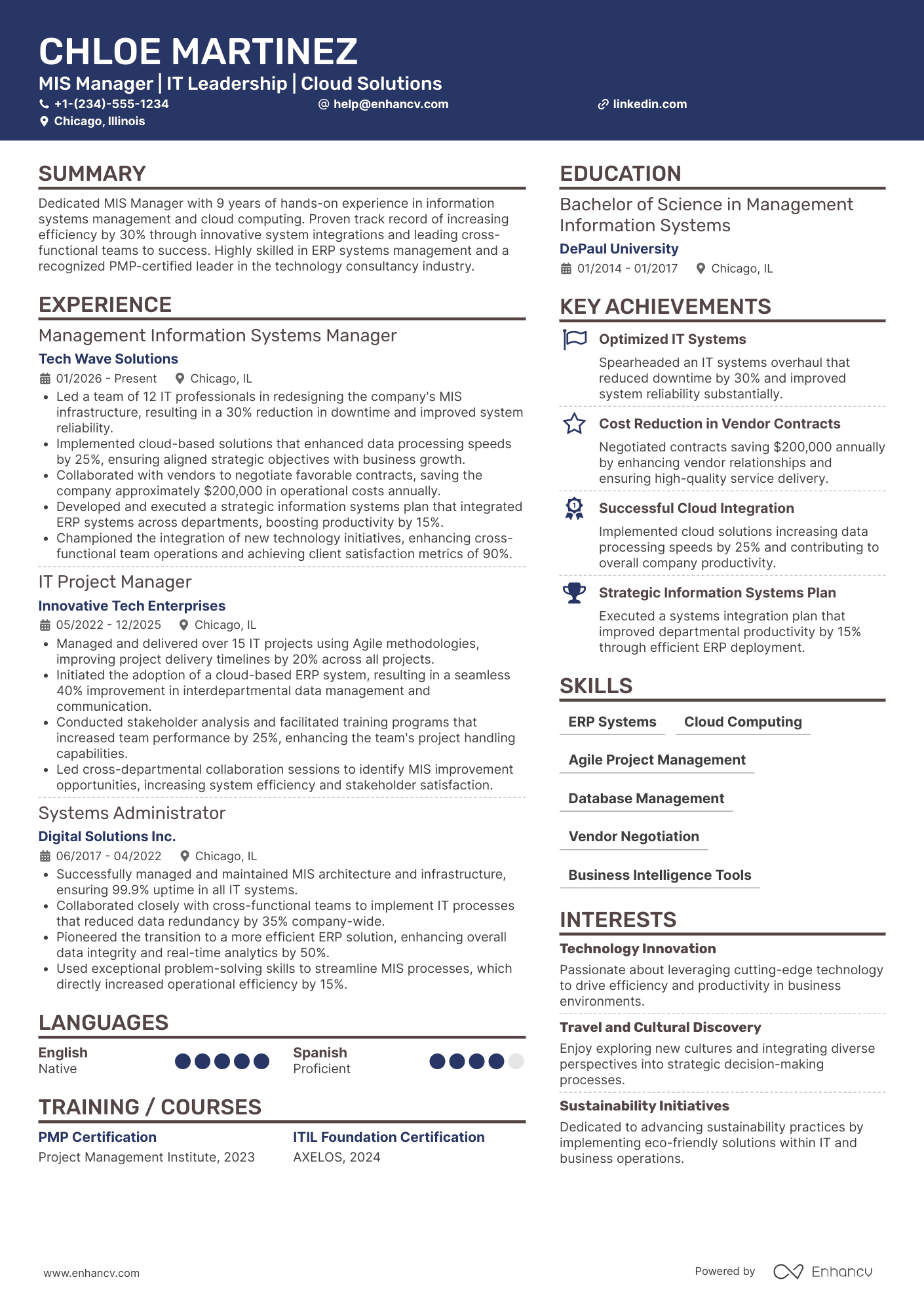 Management Information Systems Manager Resume Example