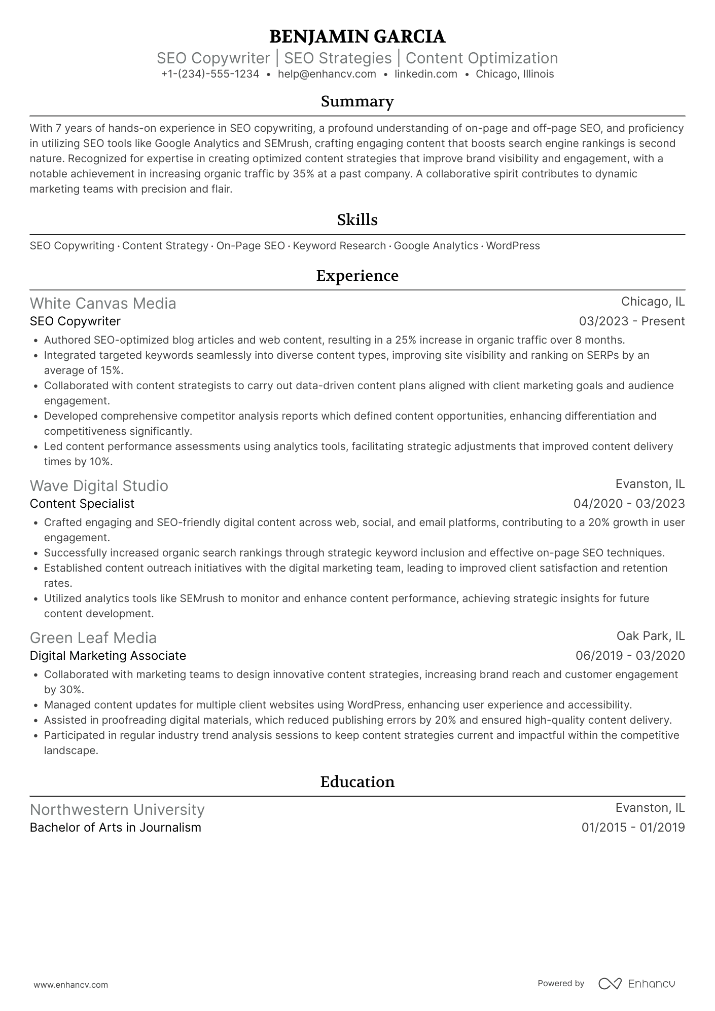 Seo Copywriter Resume Example