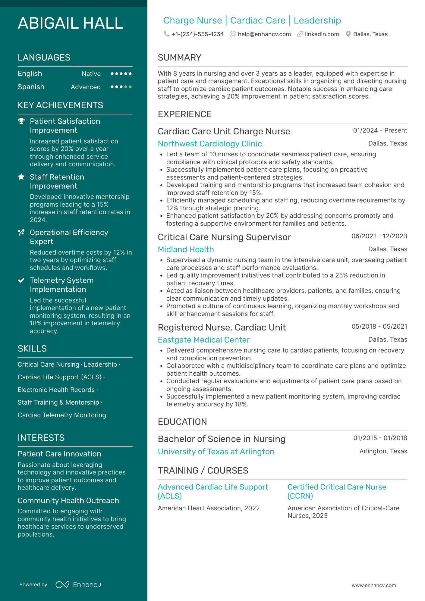 Cardiac Care Unit Charge Nurse Resume Example