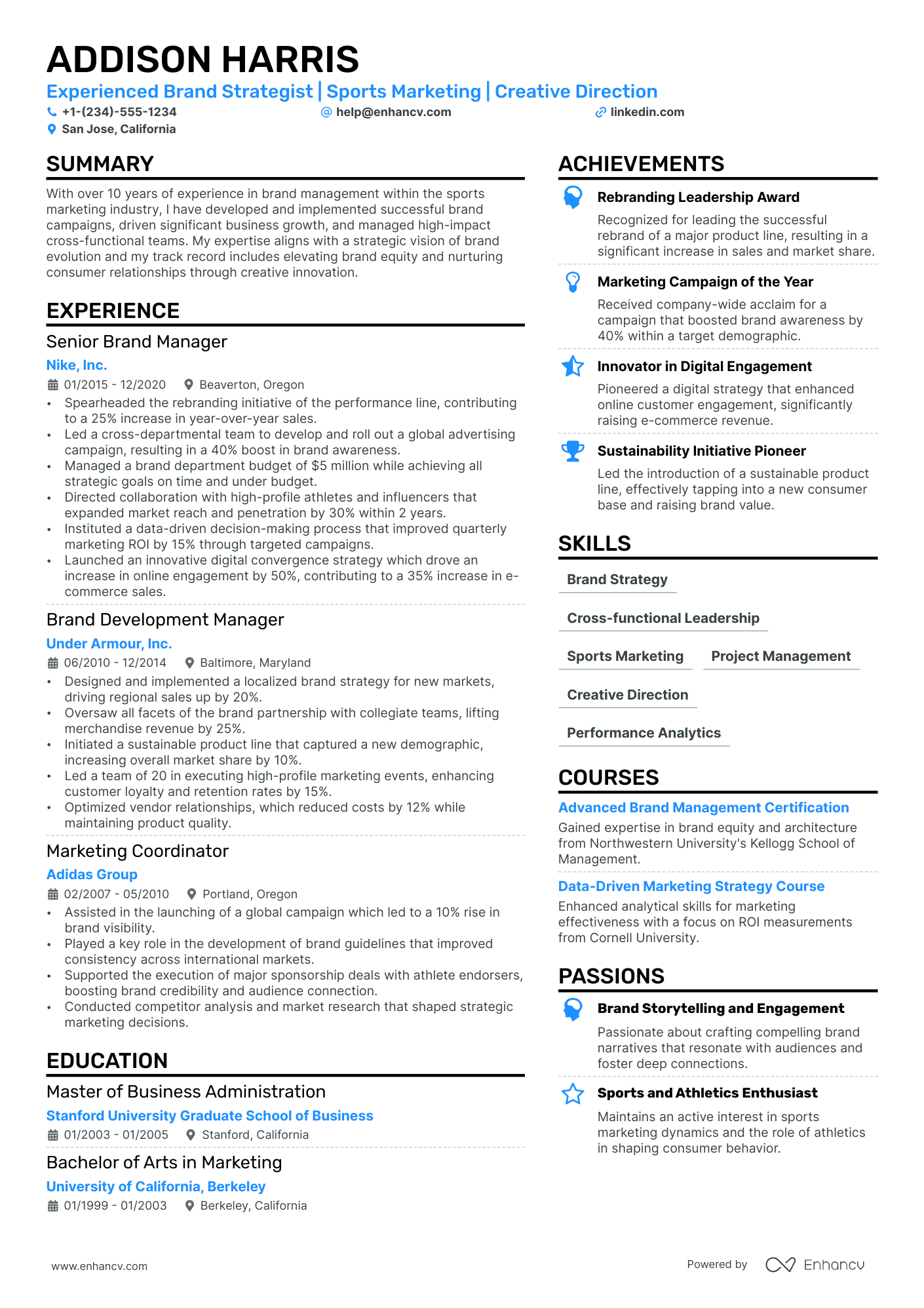 Brand Director Resume Example