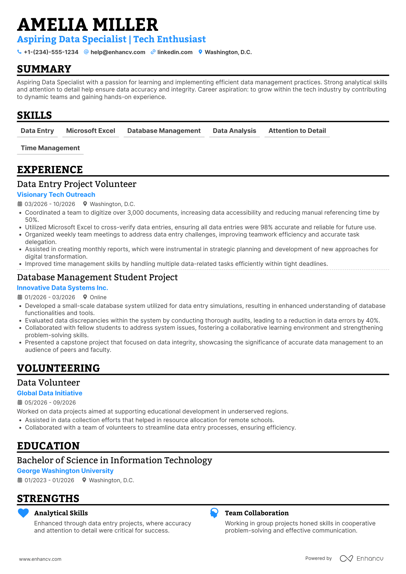 Data Entry Intern Resume Example
