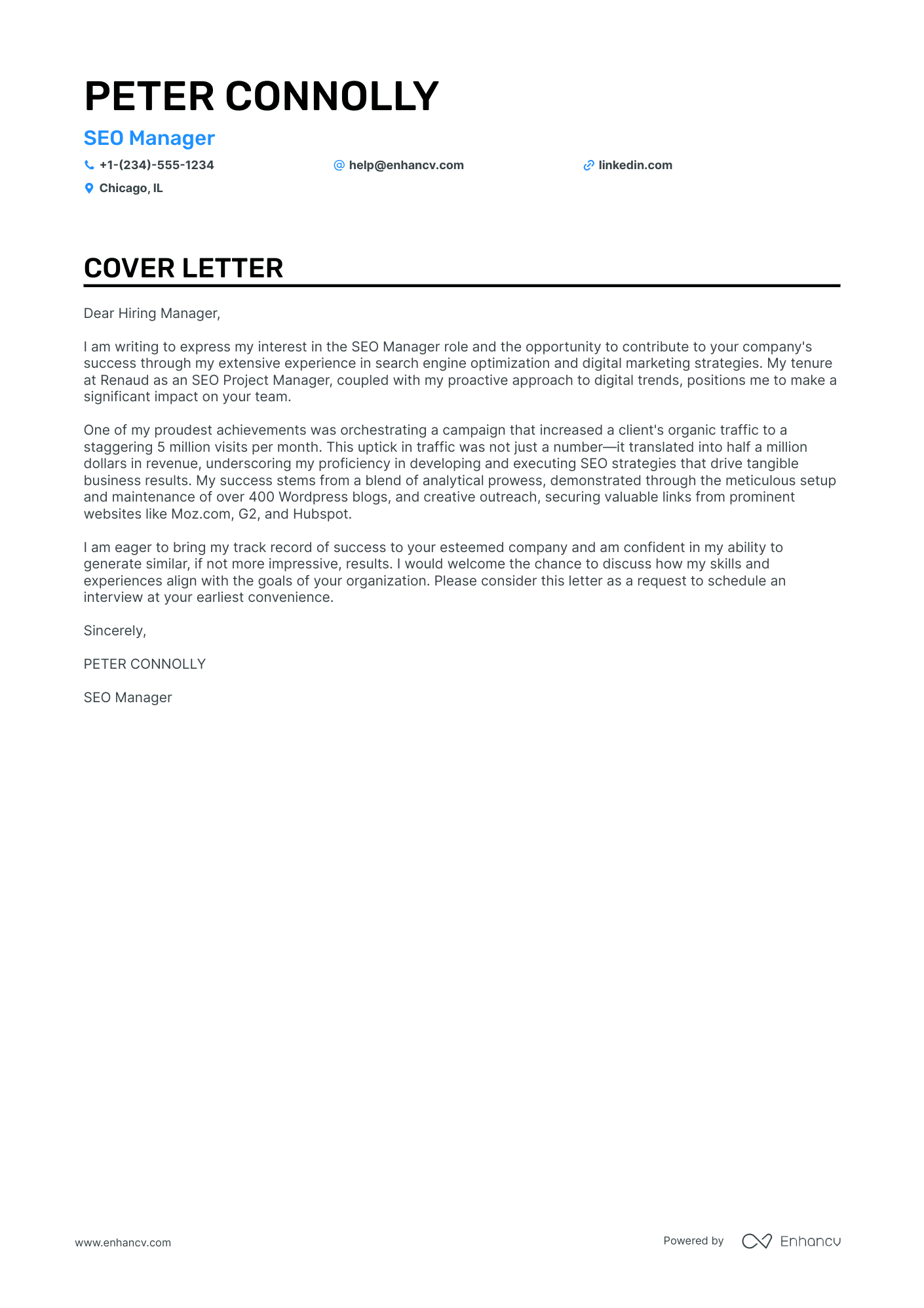 SEO Manager Resume Example
