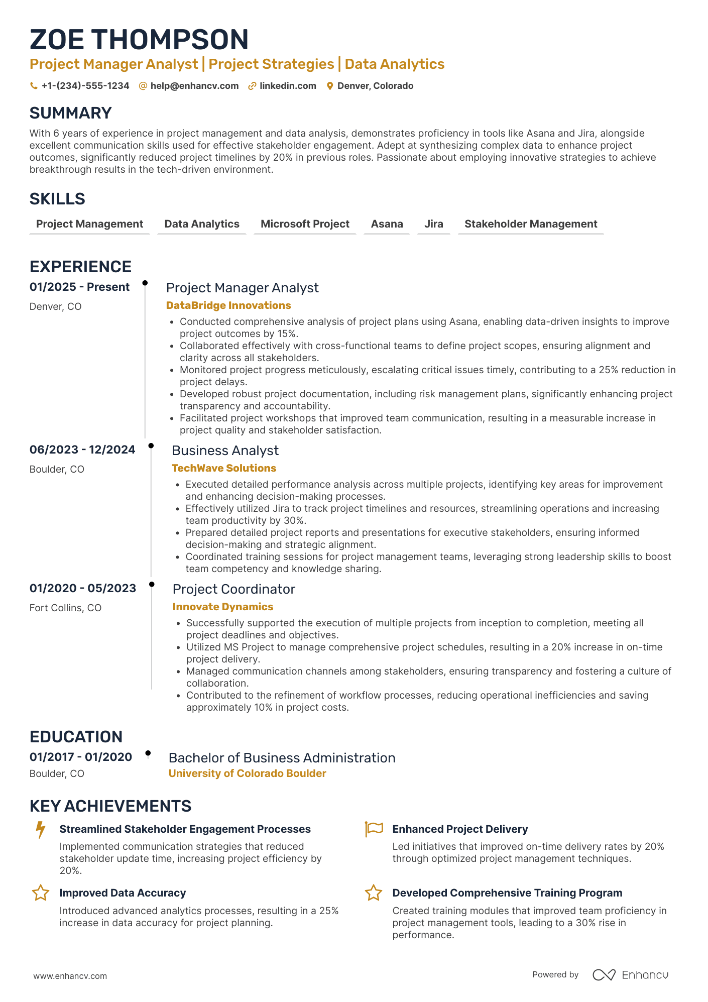Project Manager Analyst Resume Example