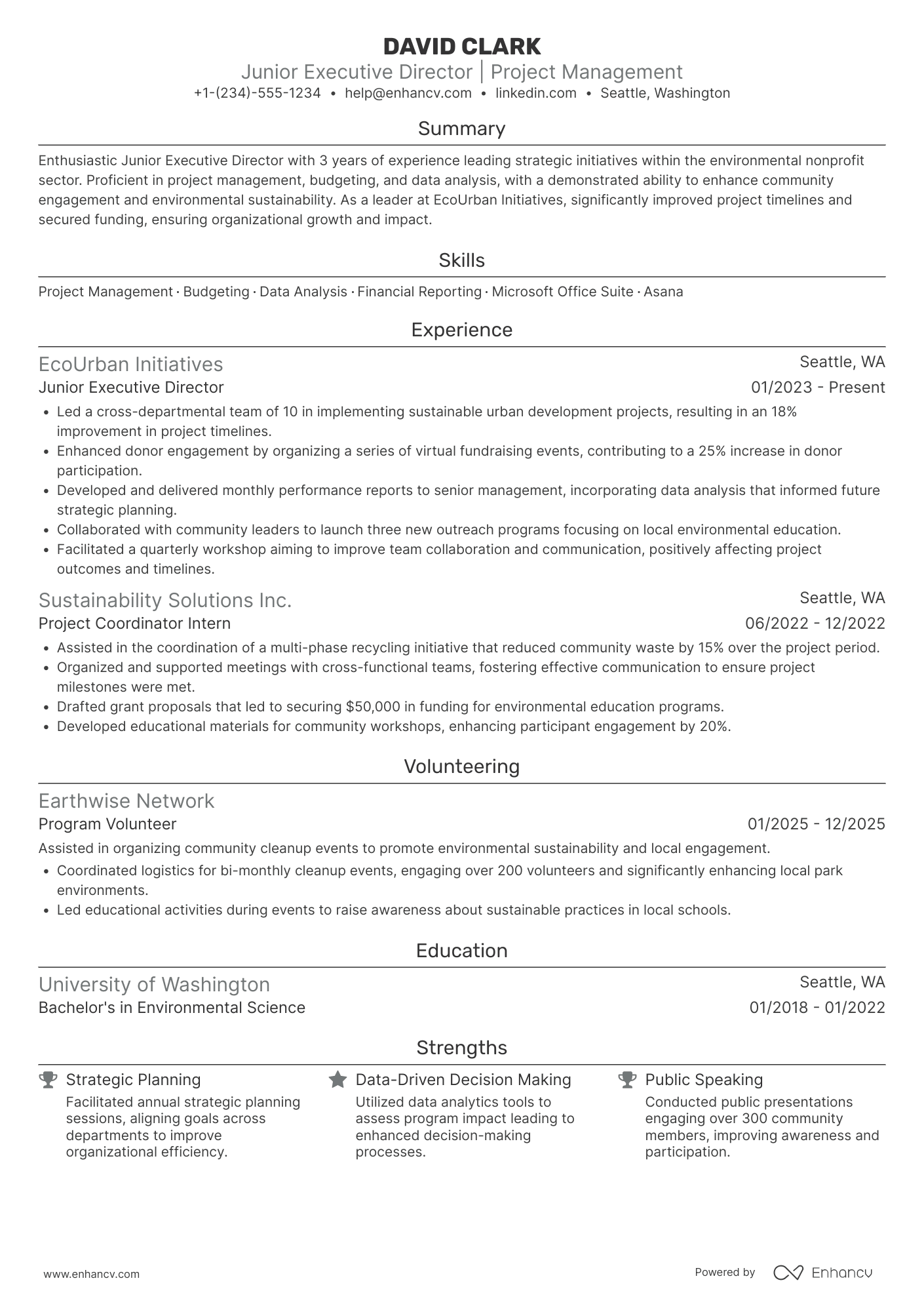 Junior Executive Director Resume Example