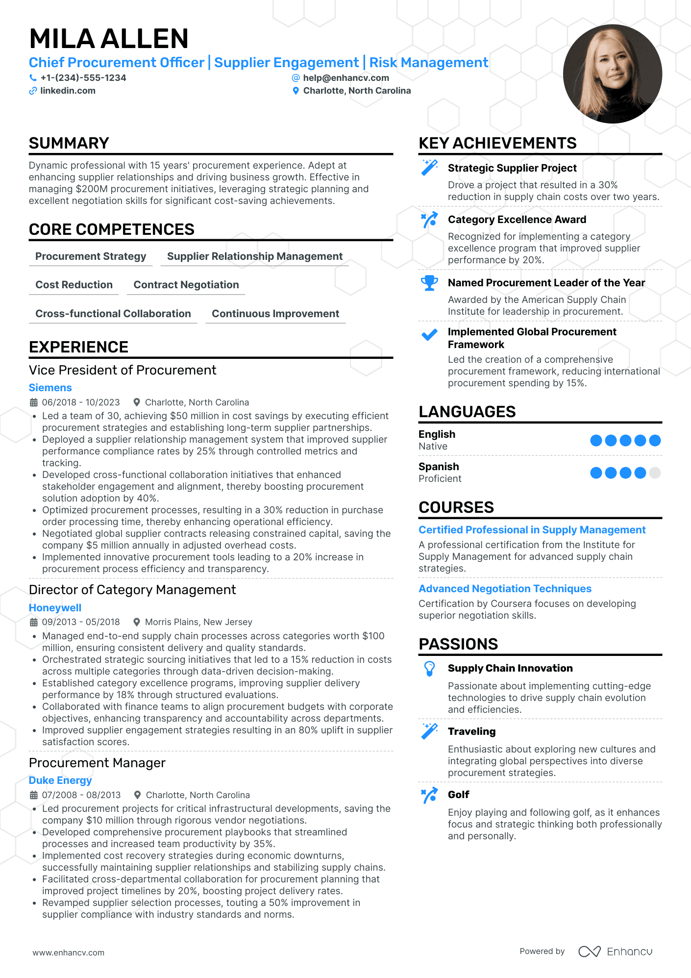 Chief Procurement Officer Resume Example