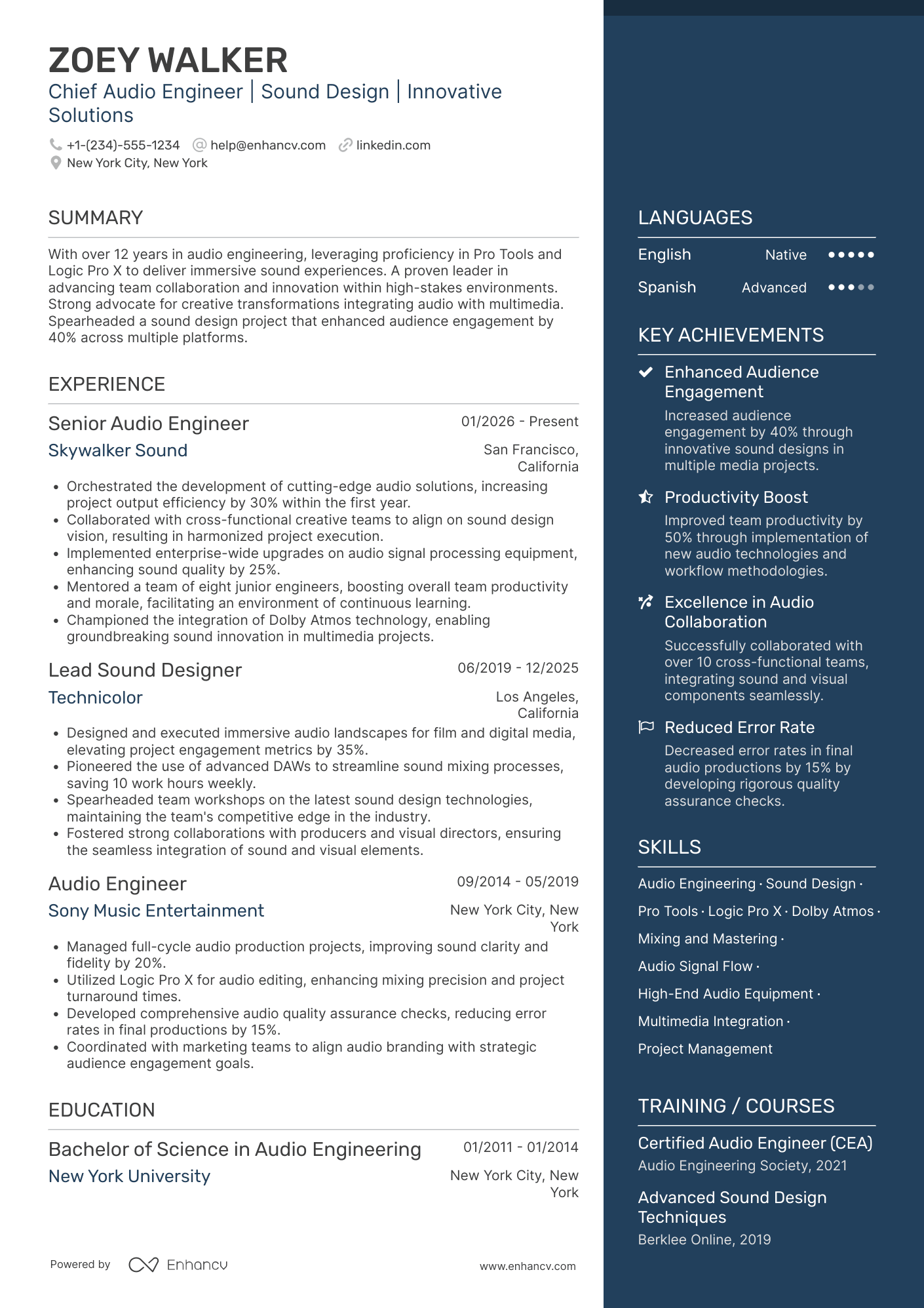 Chief Audio Engineer Resume Example