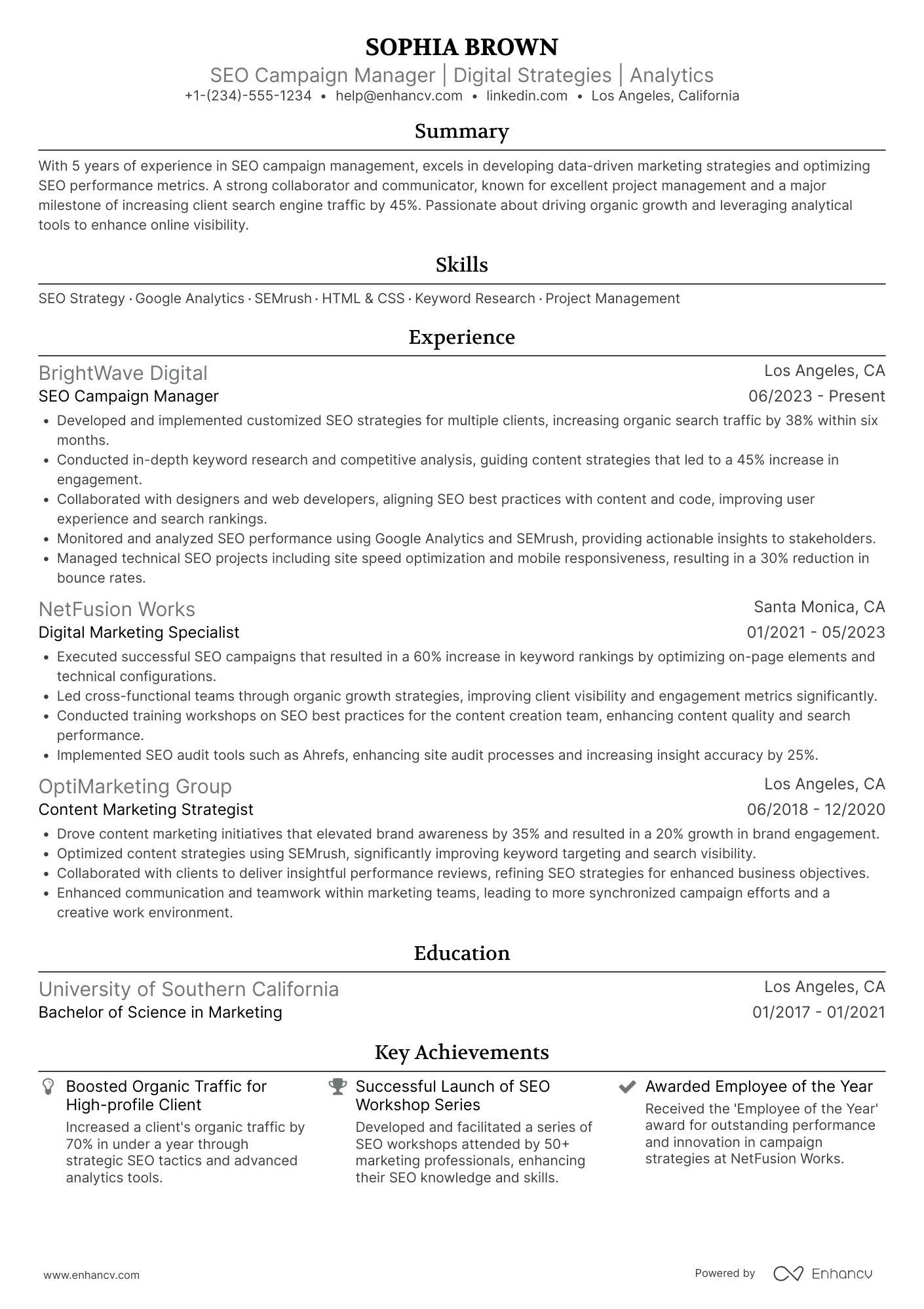 SEO Campaign Manager Resume Example