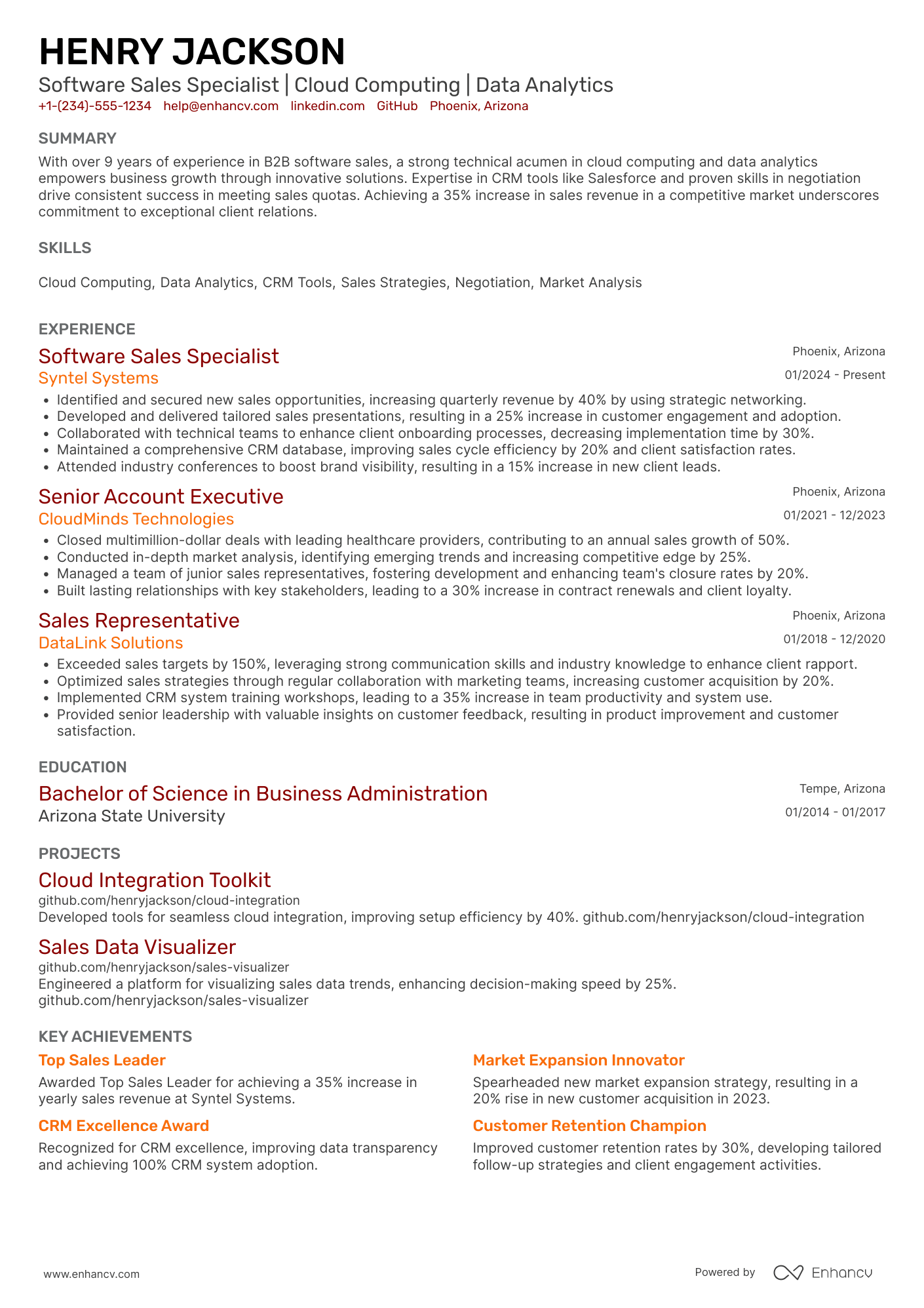 Software Sales Resume Example
