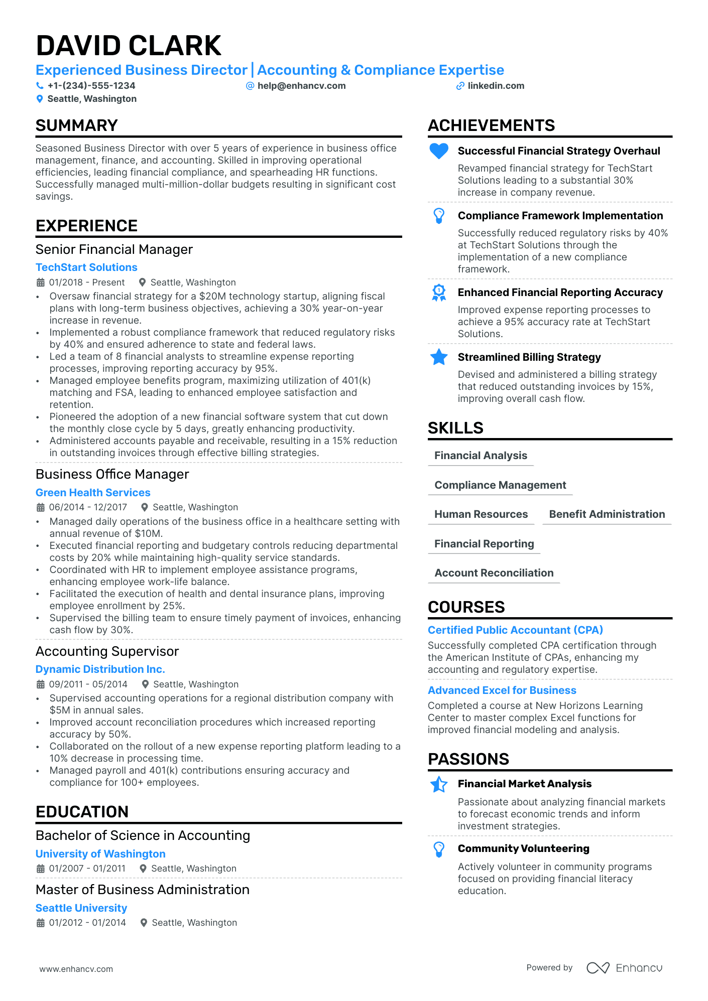 Business Director Resume Example