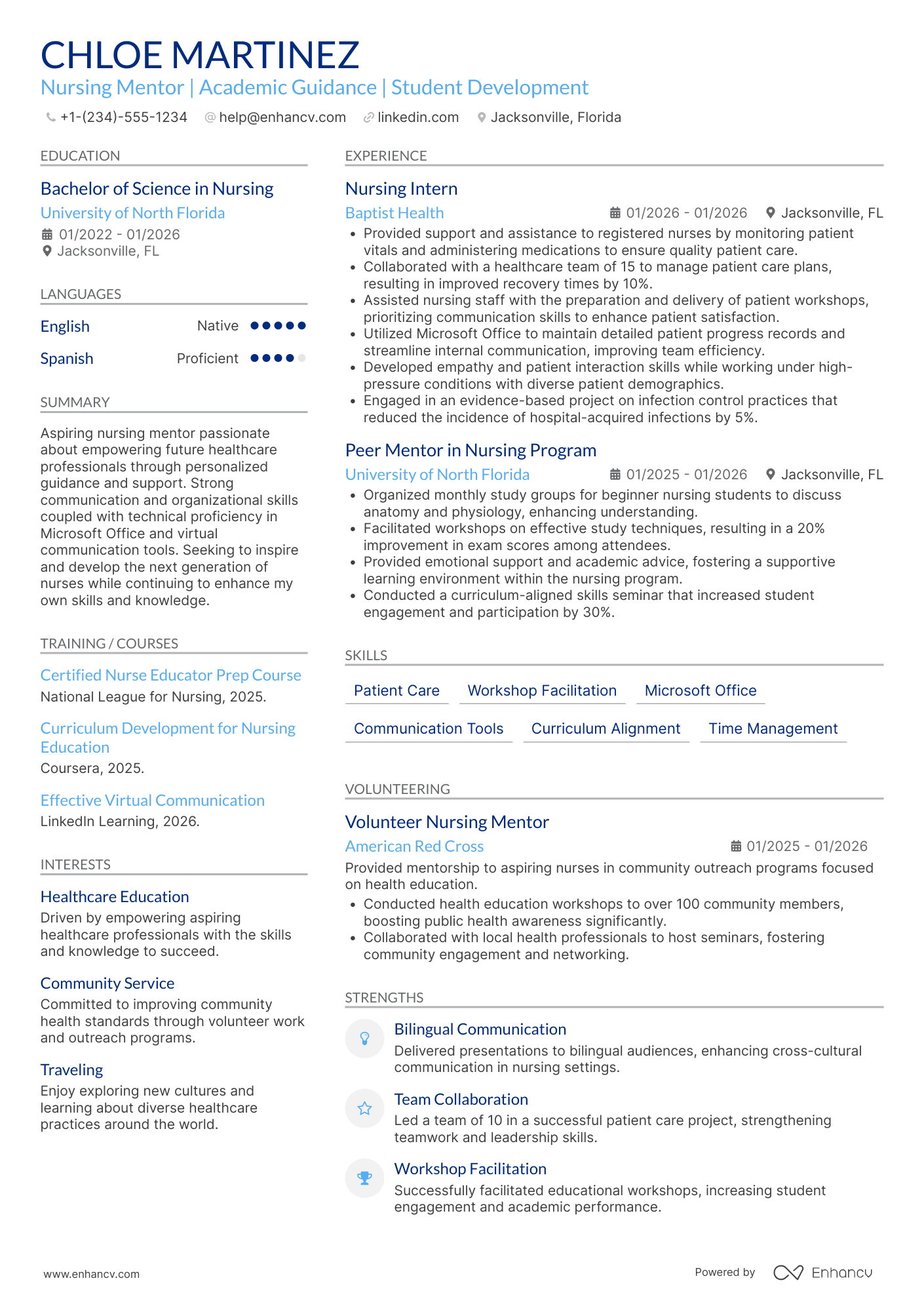 Nursing Student Mentor Resume Example