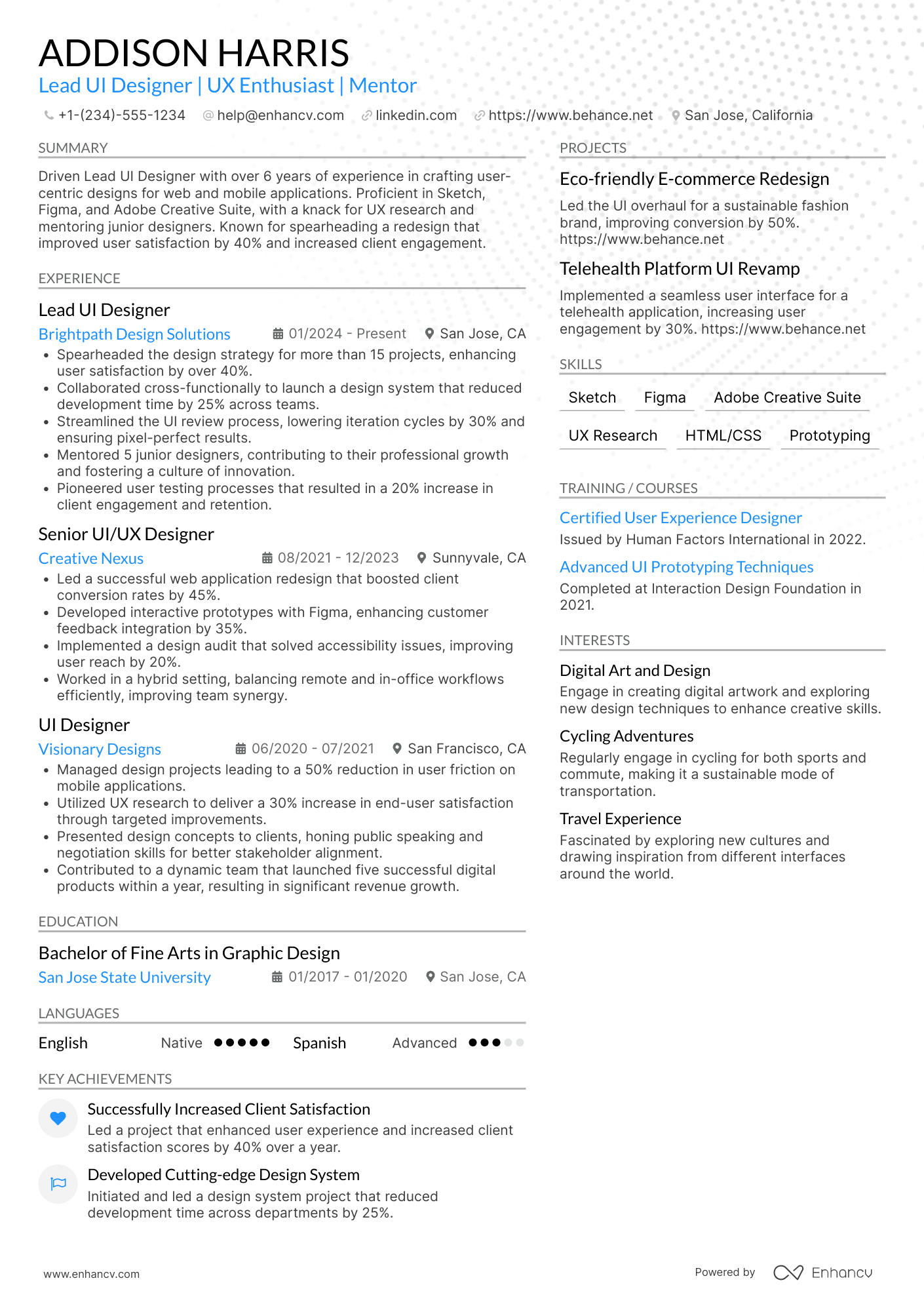 Lead UI Designer Resume Example