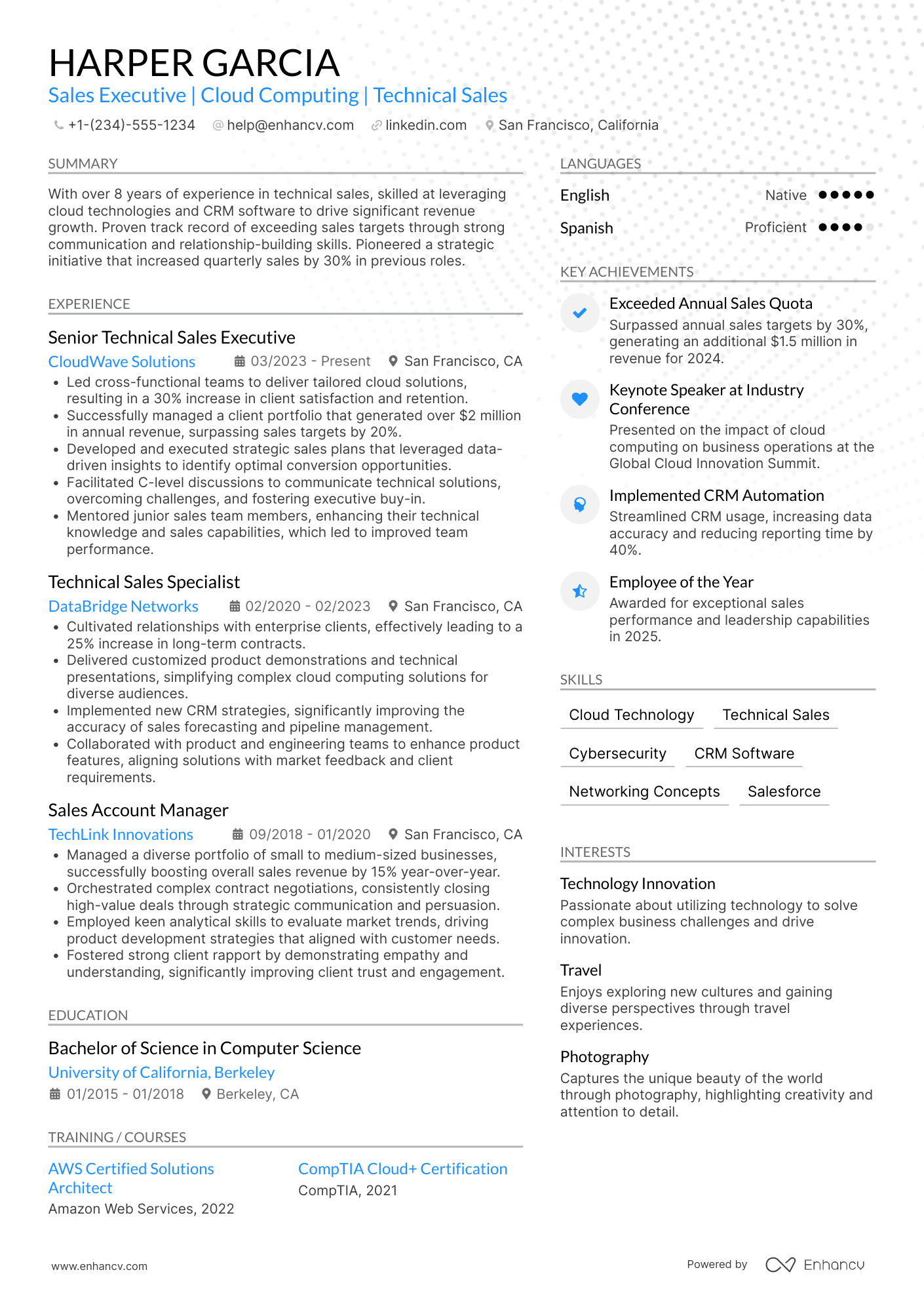 Technical Sales Executive Resume Example