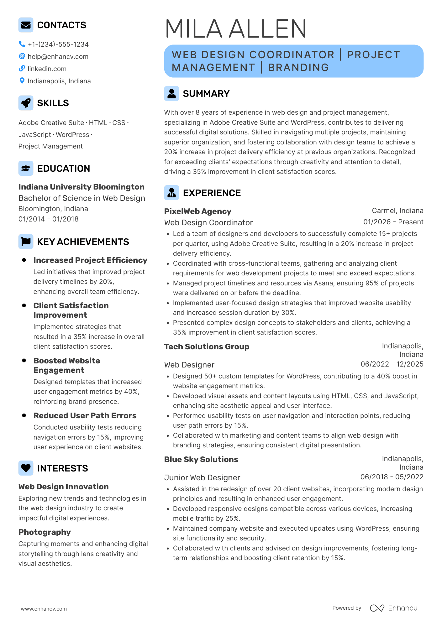 Web Design Coordinator Resume Example