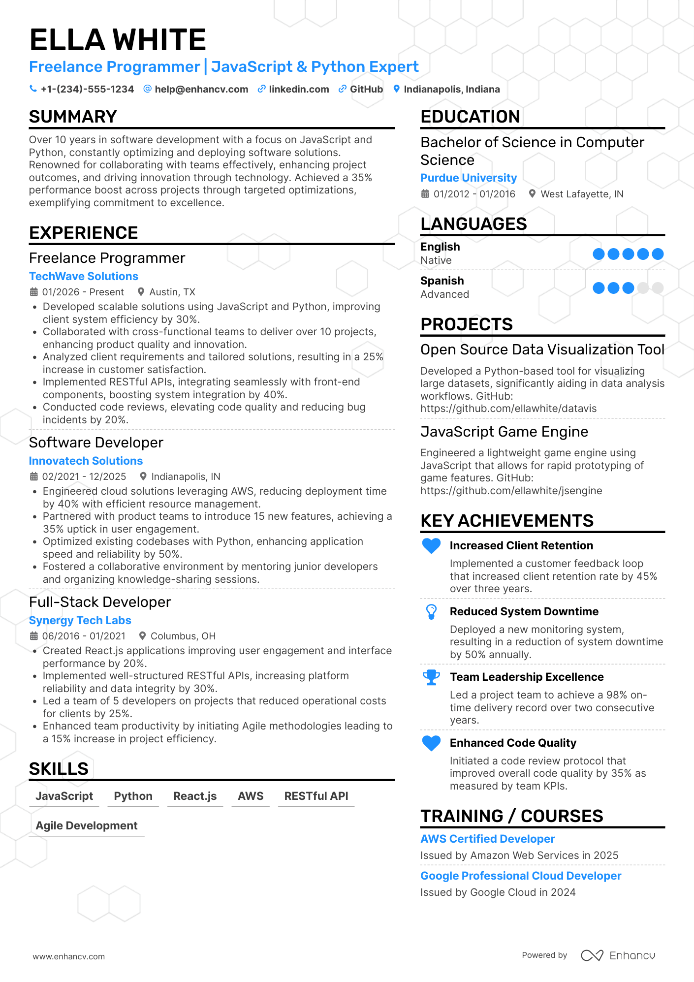 Freelance Programmer Resume Example