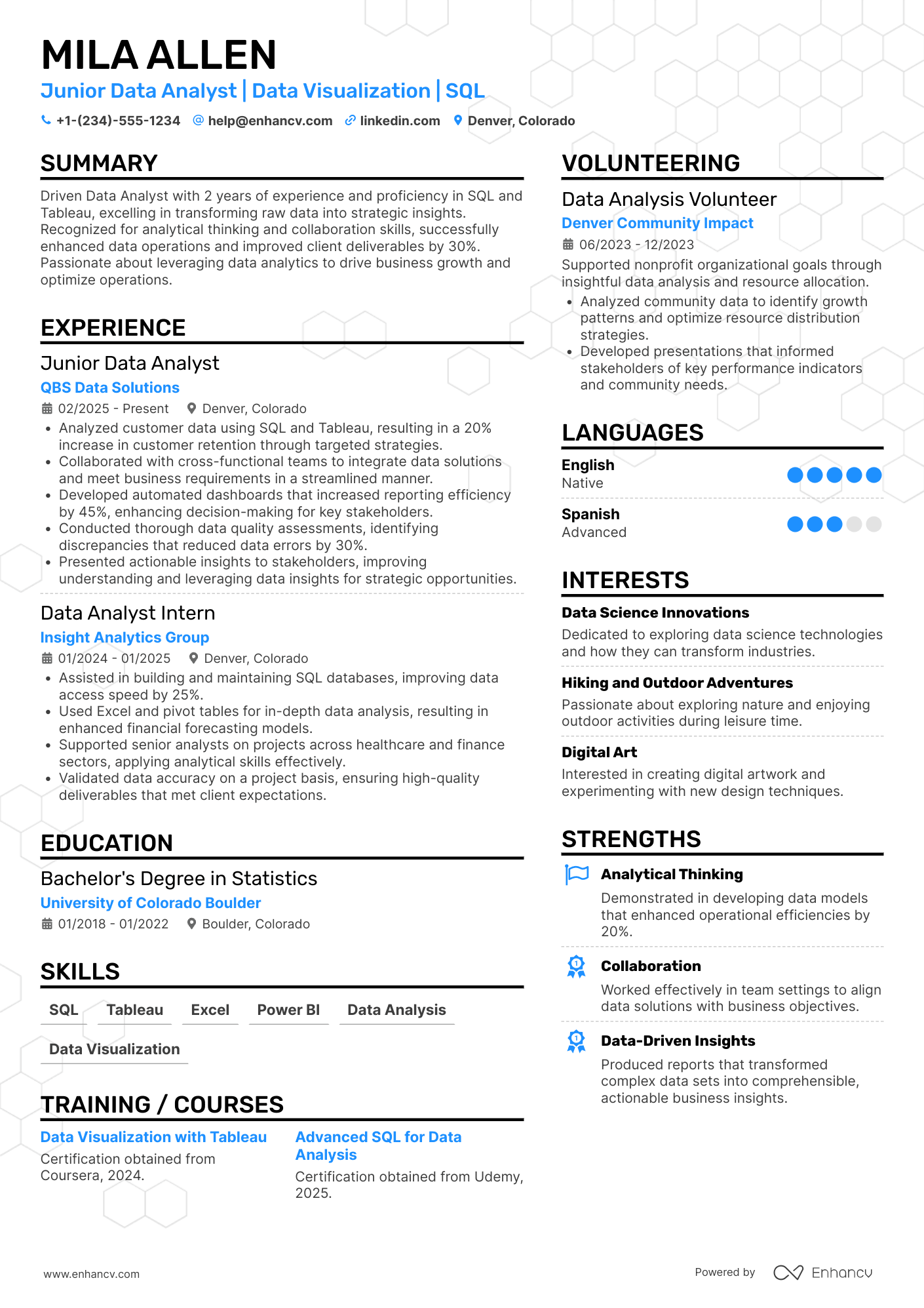 Junior Data Analyst Resume Example
