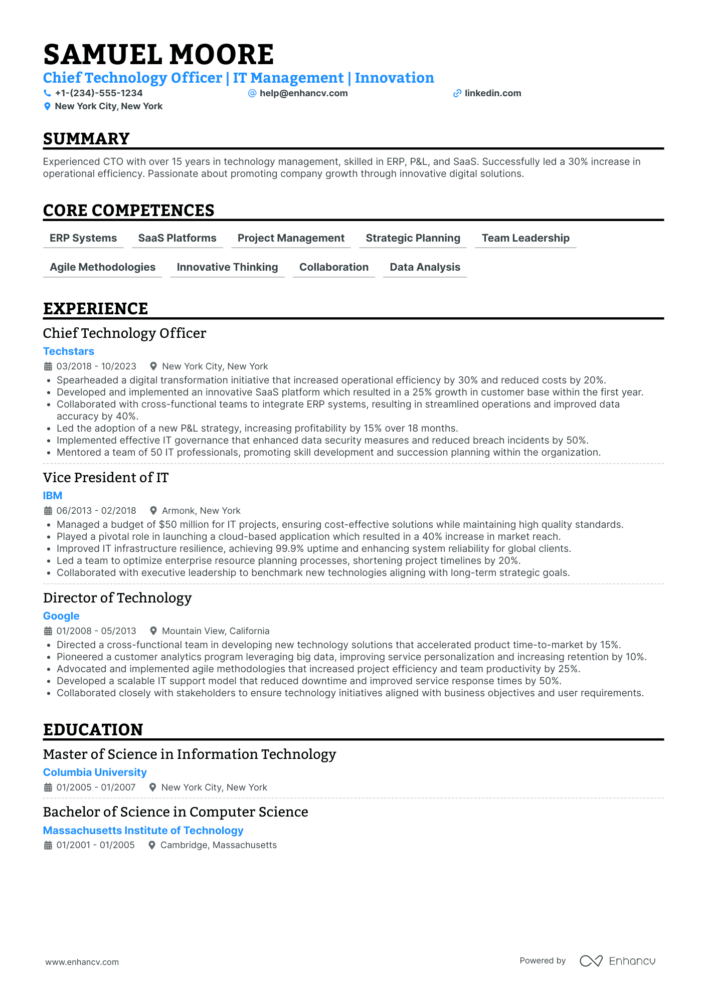 Chief Data Officer in Digital Advertising Resume Example