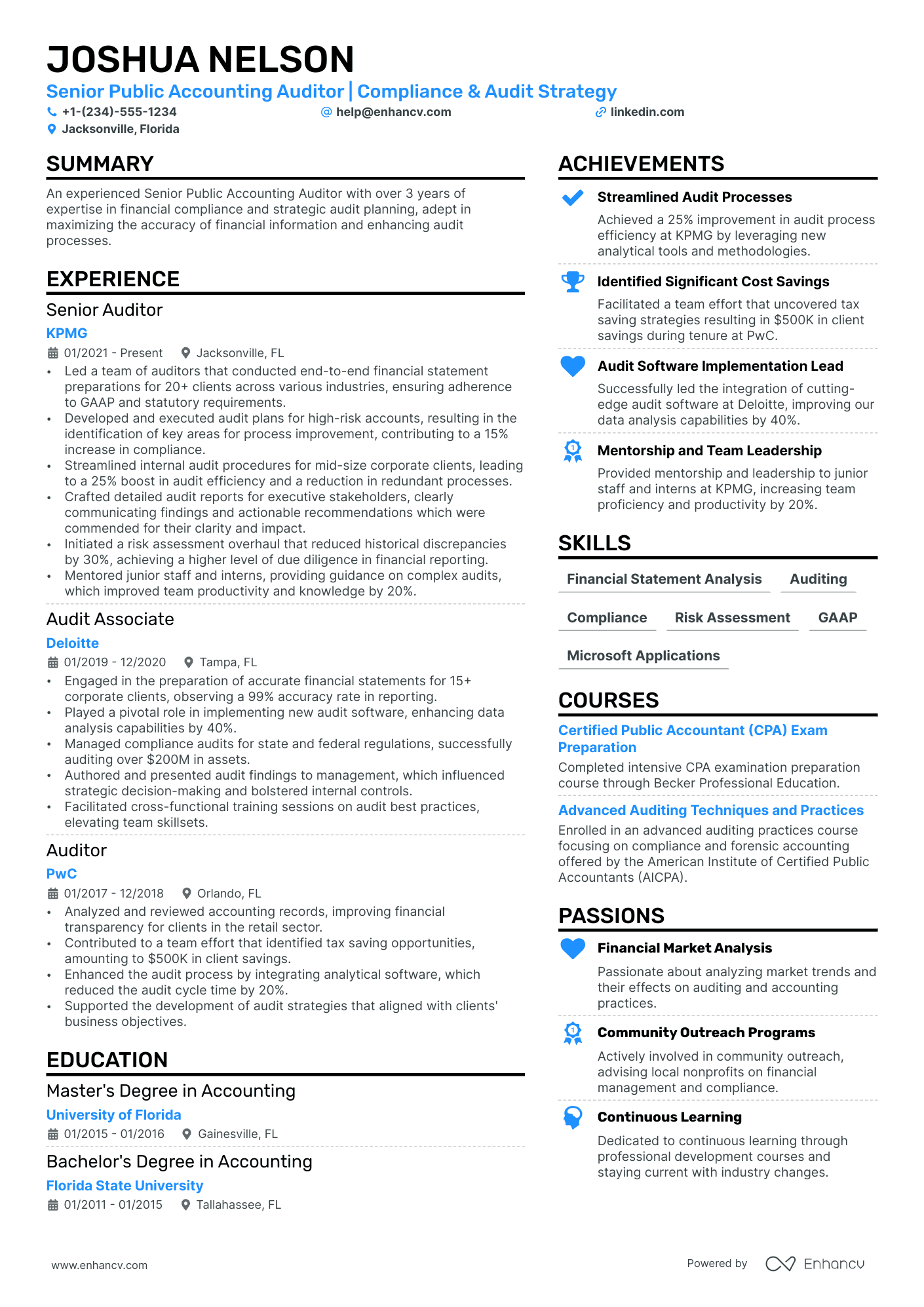Public Accounting Auditor Resume Example