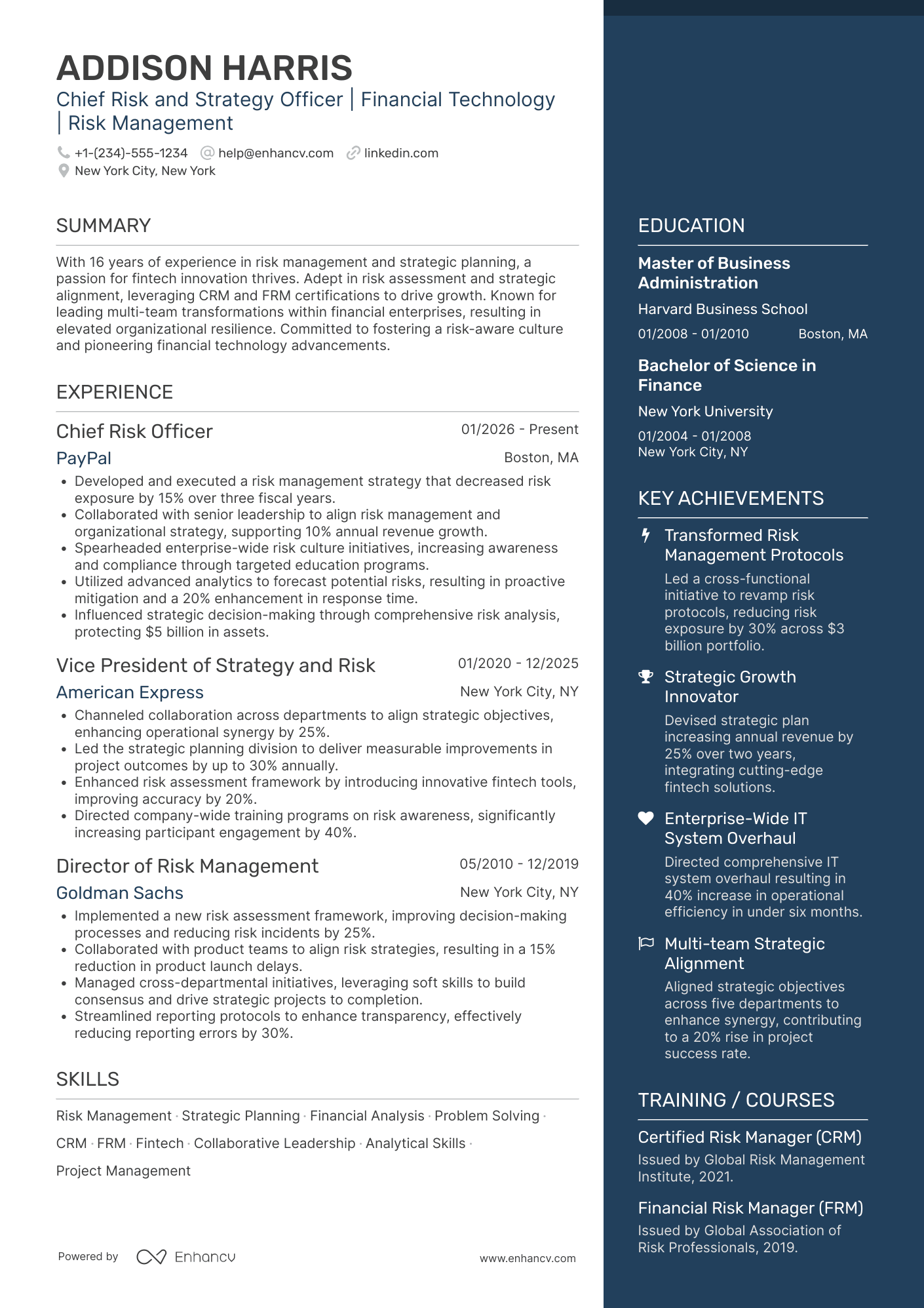 Chief Risk and Strategy Officer Resume Example