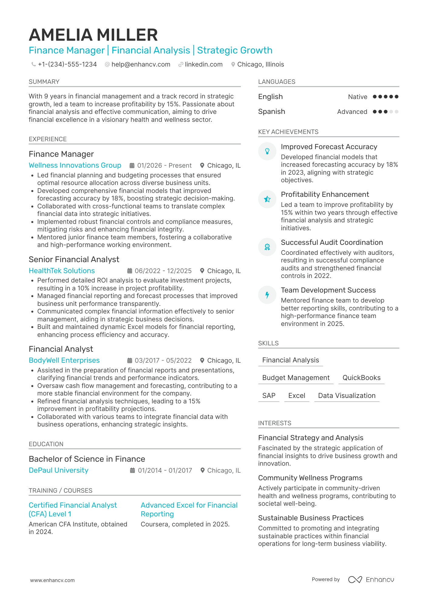 Mid Level Finance Manager Resume Example