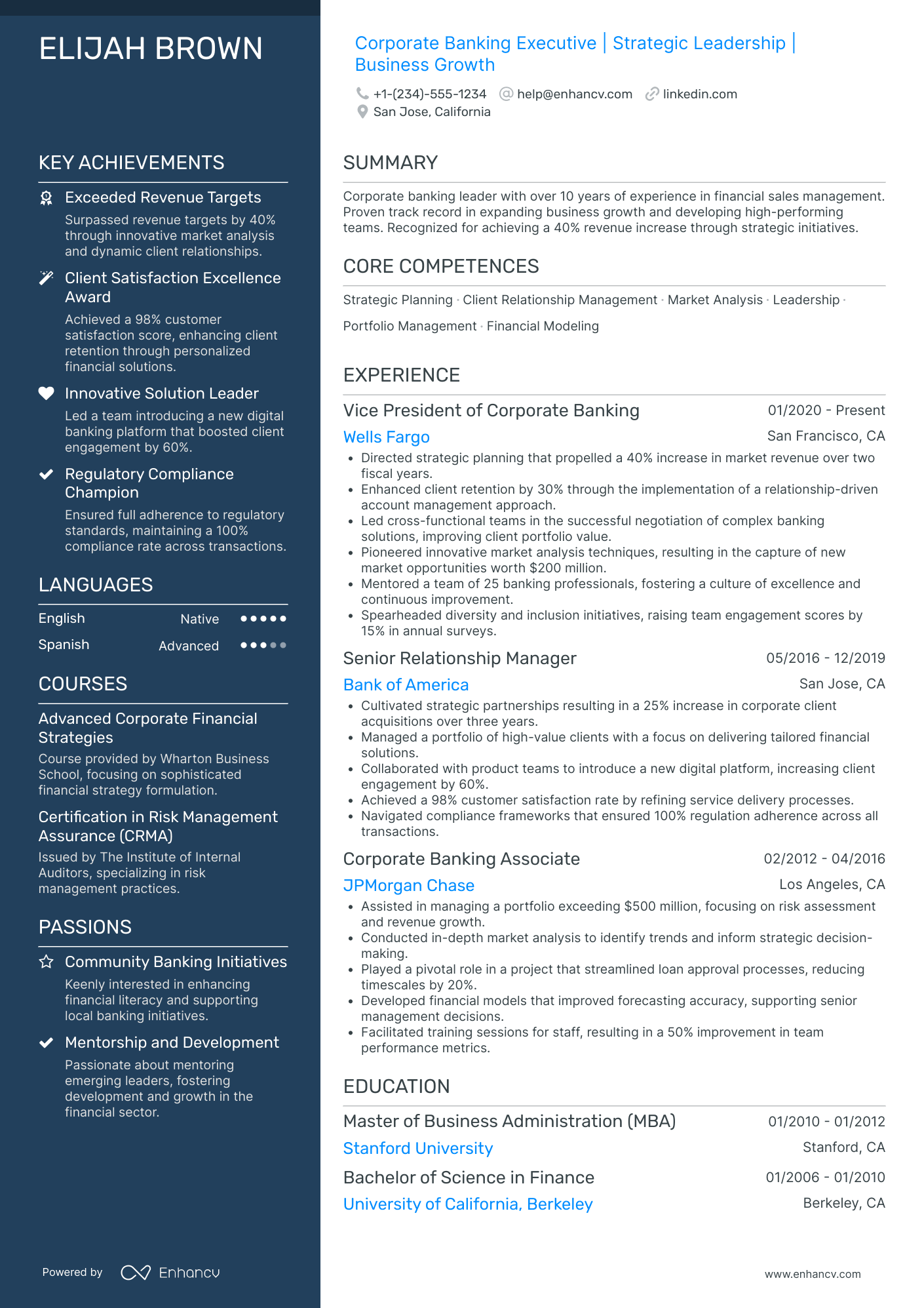 Chief Executive Officer in Finance Resume Example