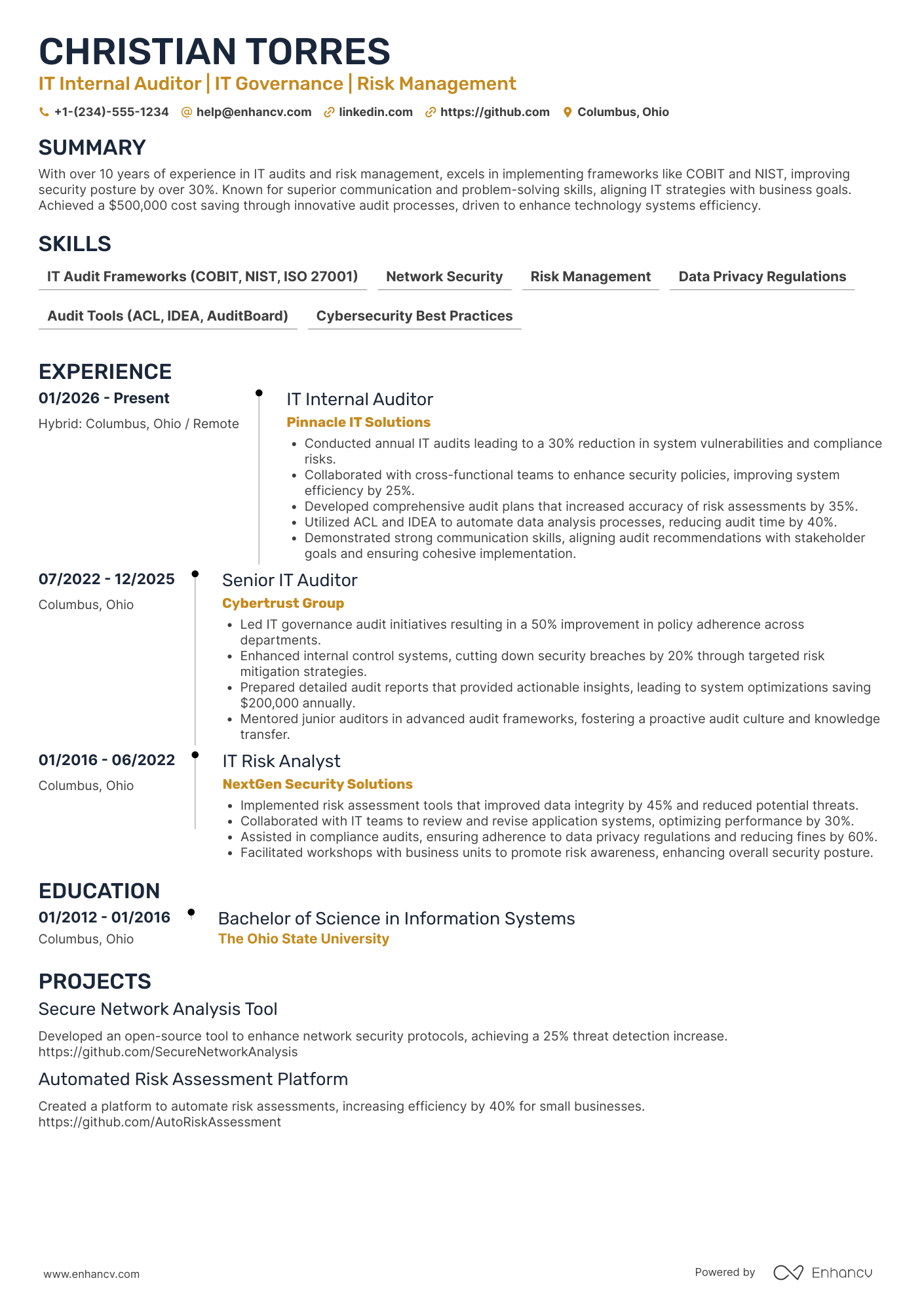 IT Internal Auditor Resume Example