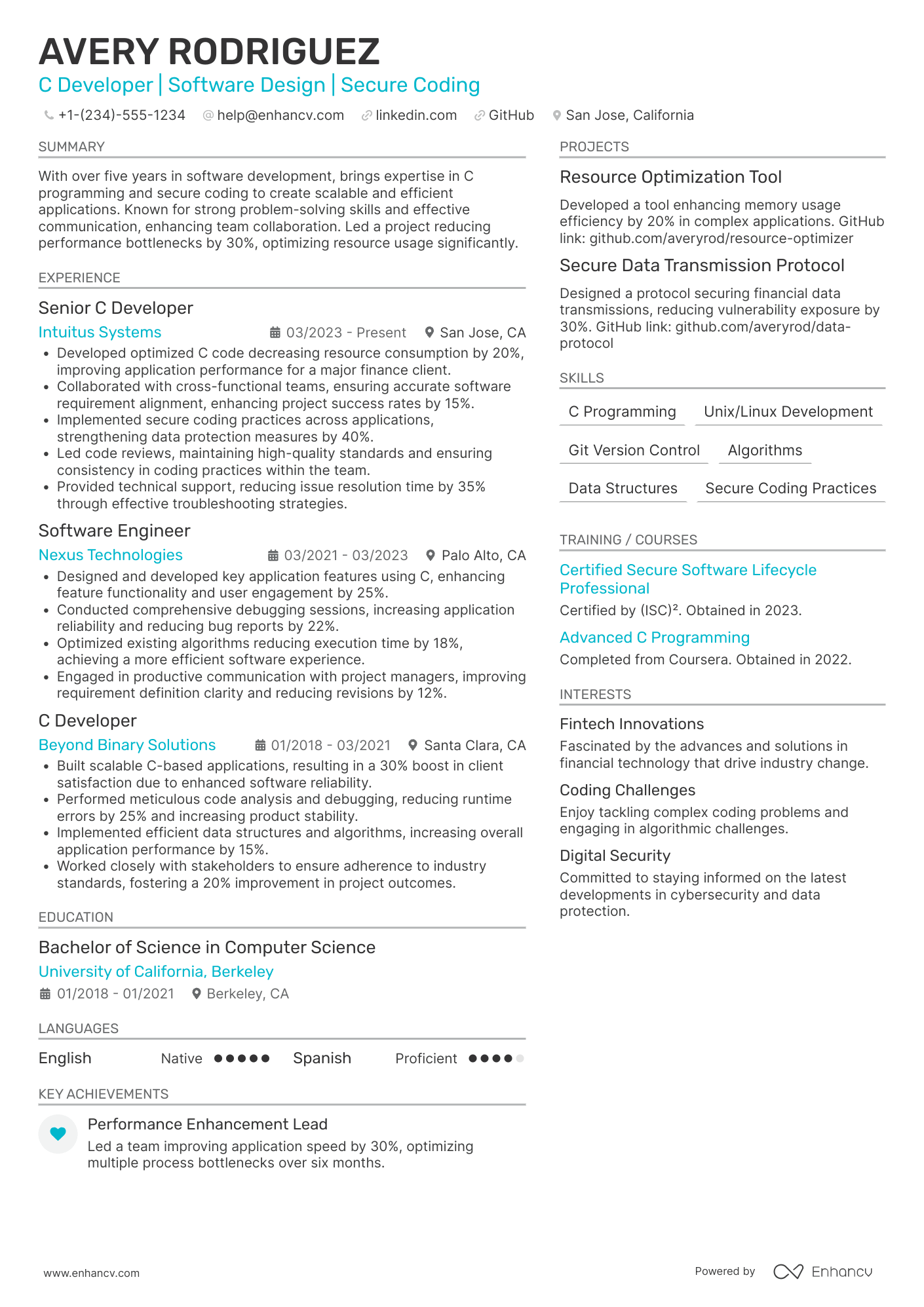C Developer Resume Example