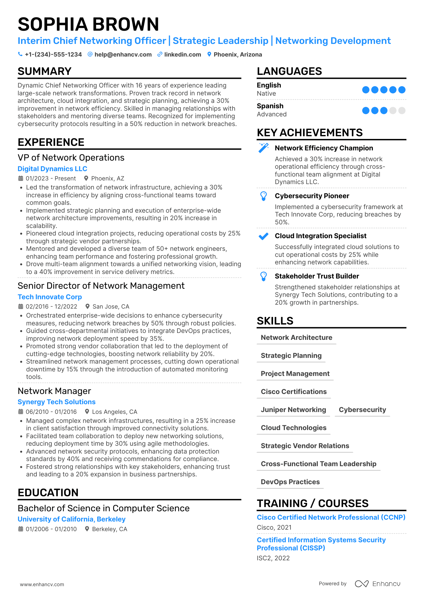 Interim Chief Networking Officer Resume Example