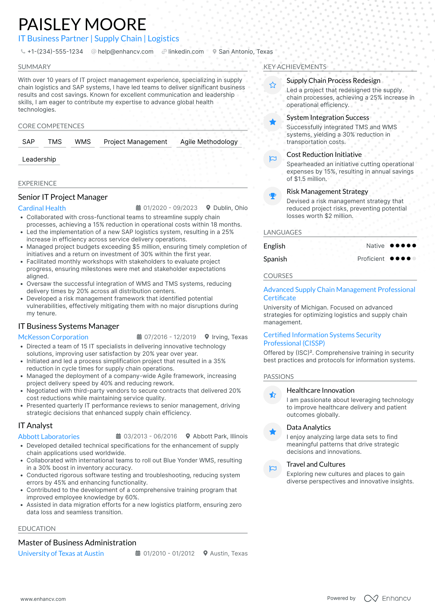 Chief Information Officer in Logistics and Supply Chain Resume Example