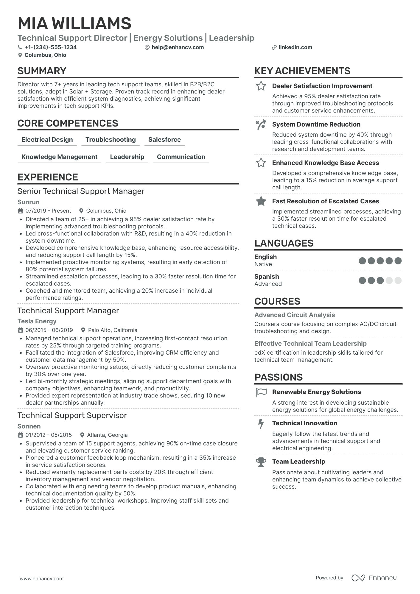 Chief Information Officer in Renewable Energy Resume Example