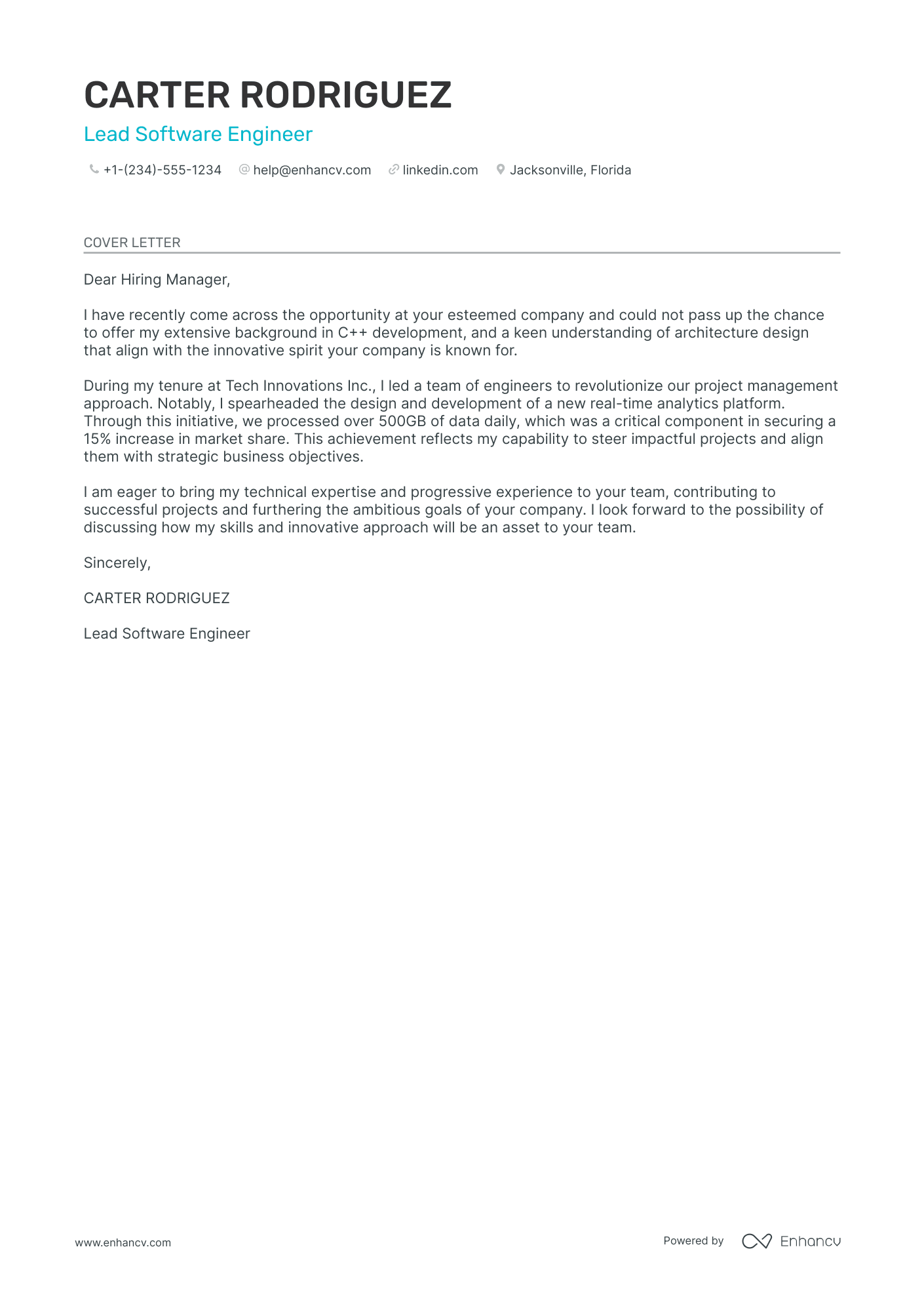 Software Team Lead Resume Example