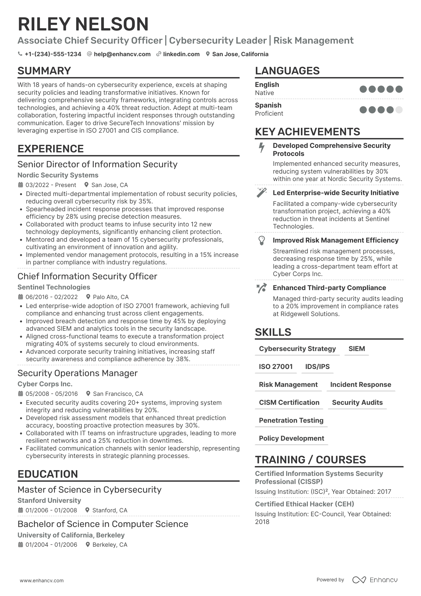 Associate Chief Security Officer Resume Example