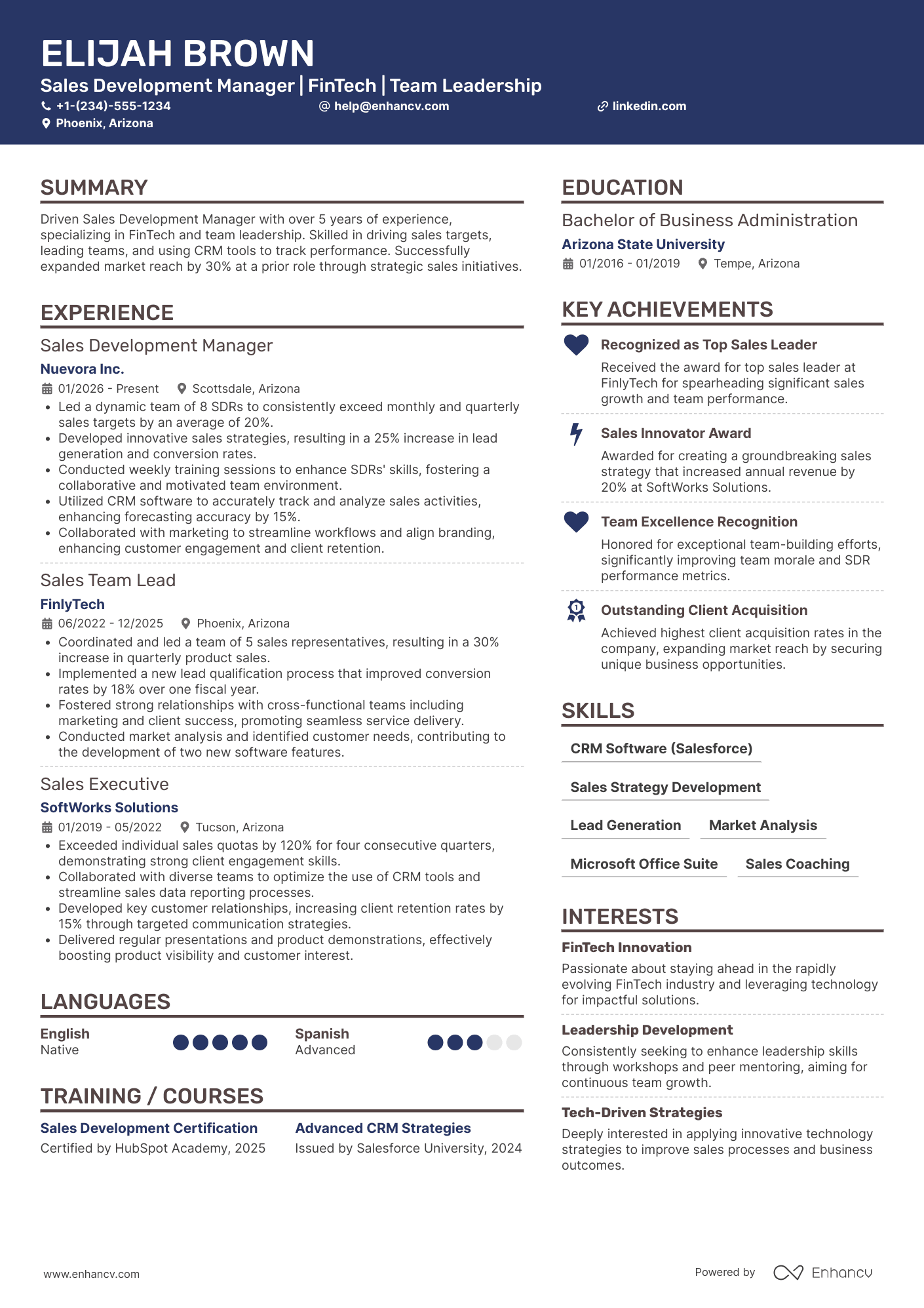 Sales Development Manager Resume Example