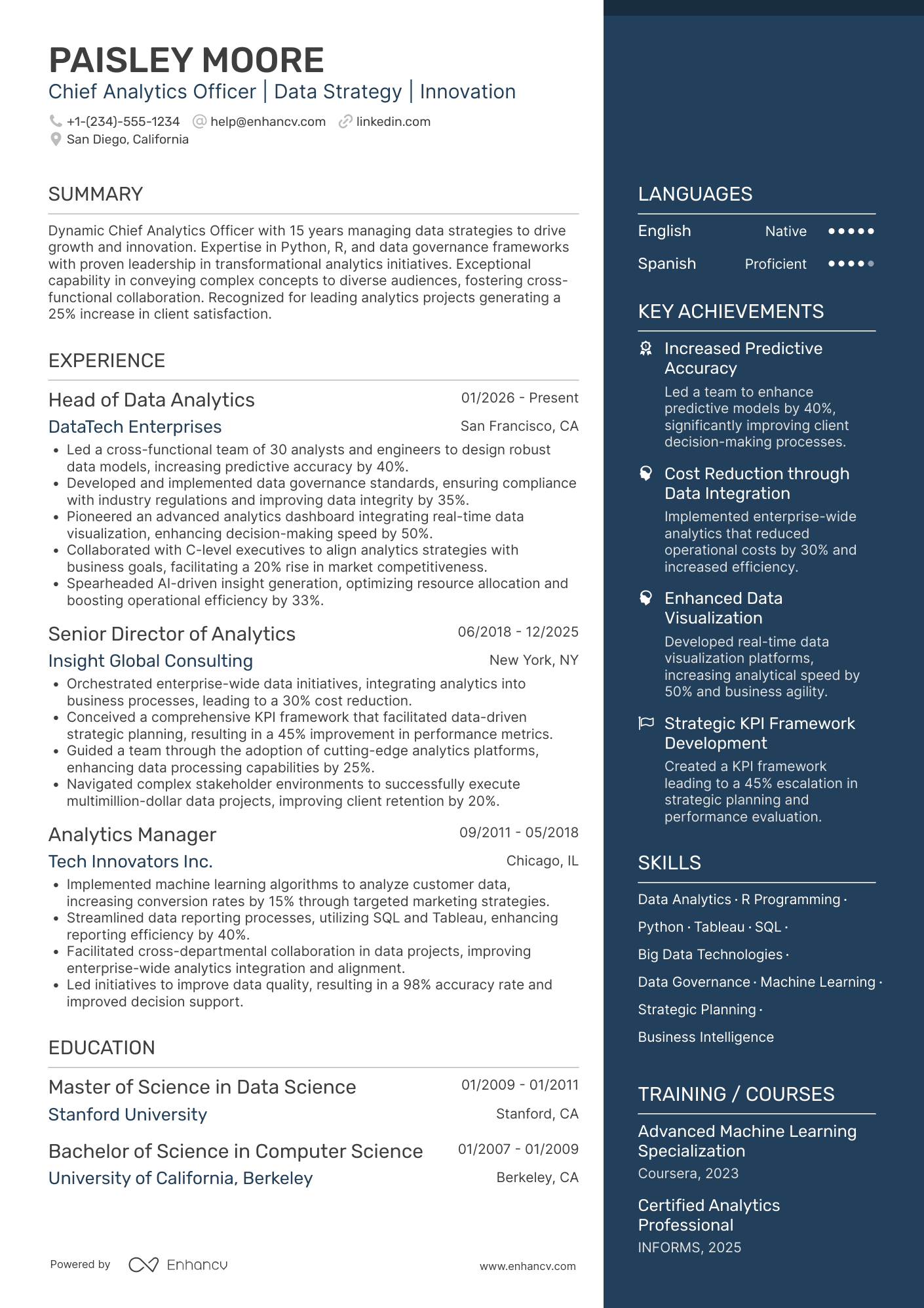 Chief Analytics Officer Resume Example