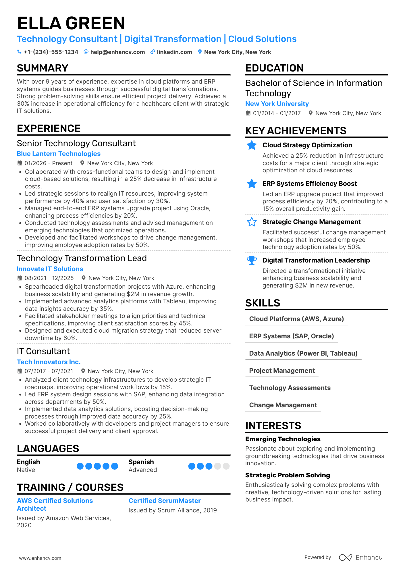 Technology Transformation Consultant Resume Example