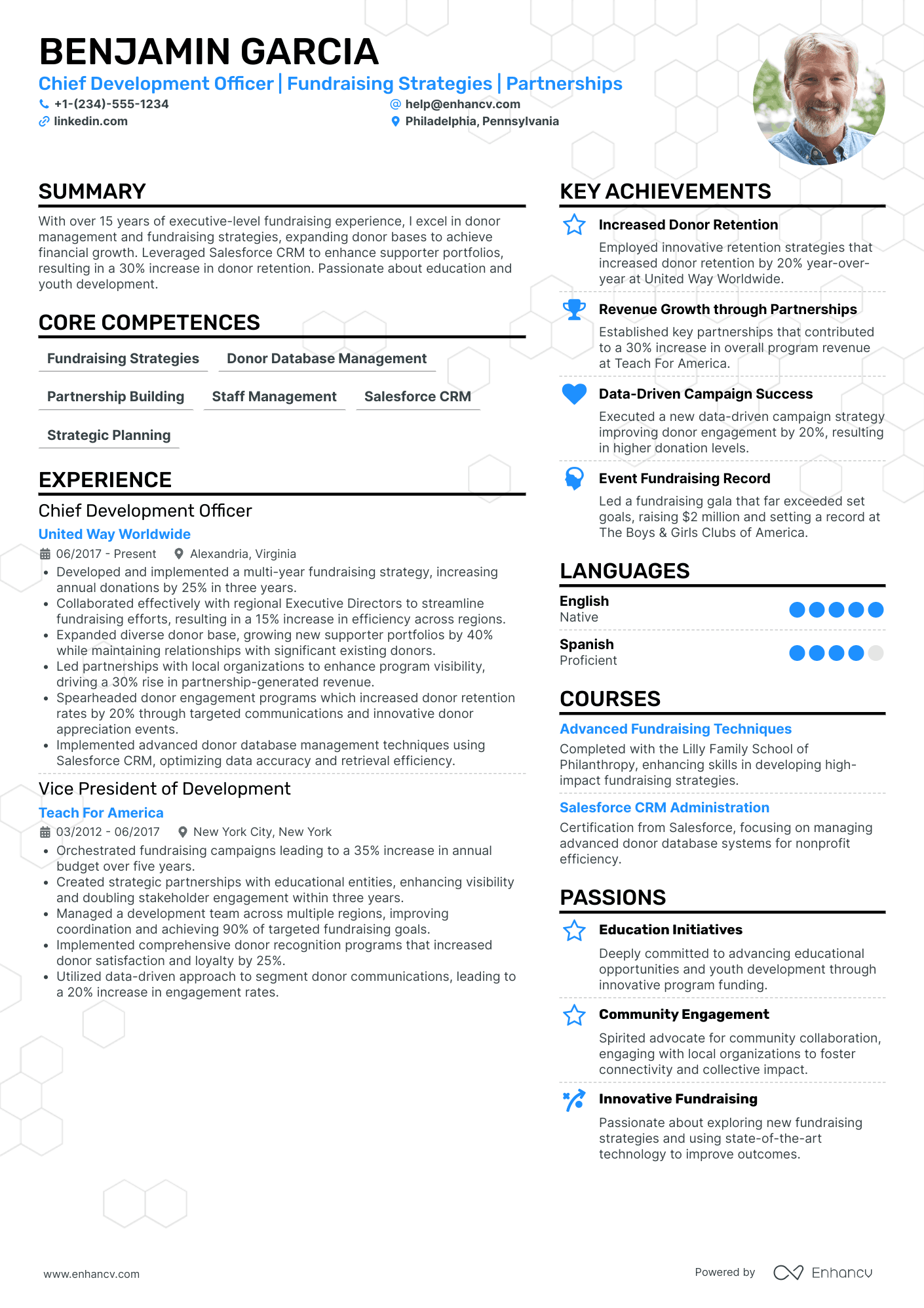 Chief Development Officer Resume Example