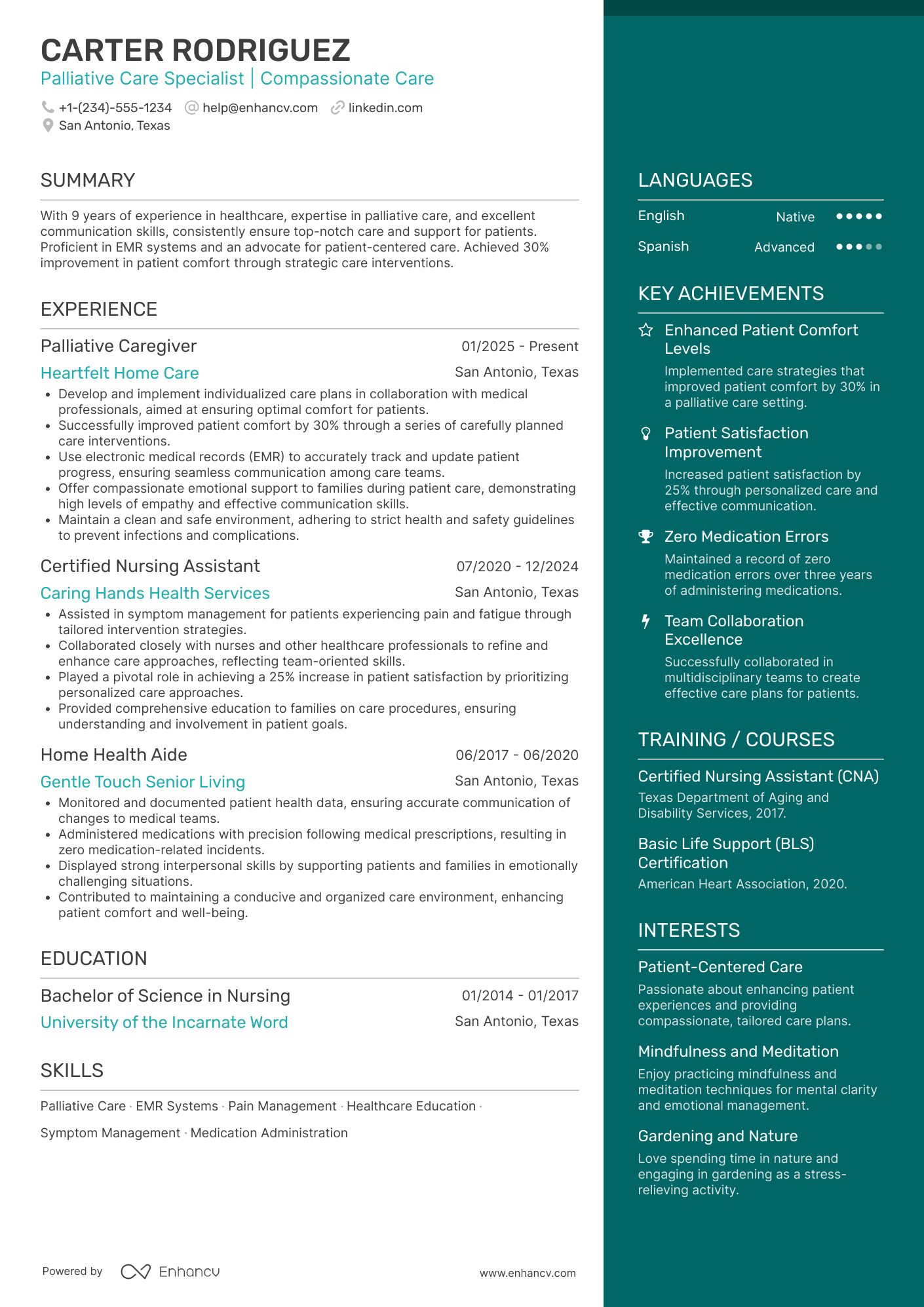 Palliative Caregiver Resume Example