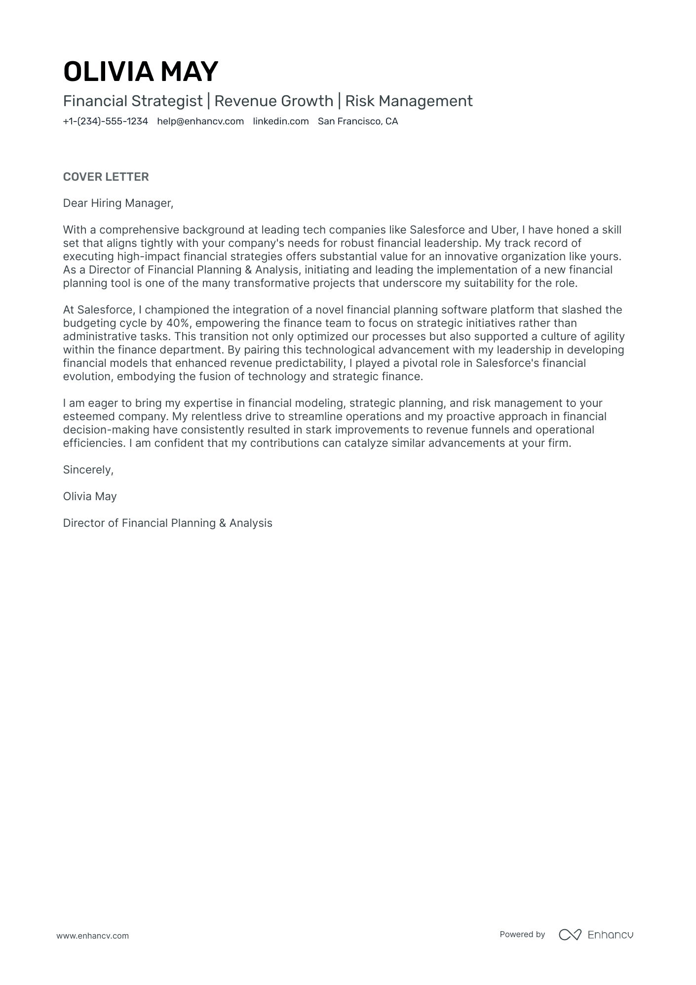 VP of Finance Resume Example